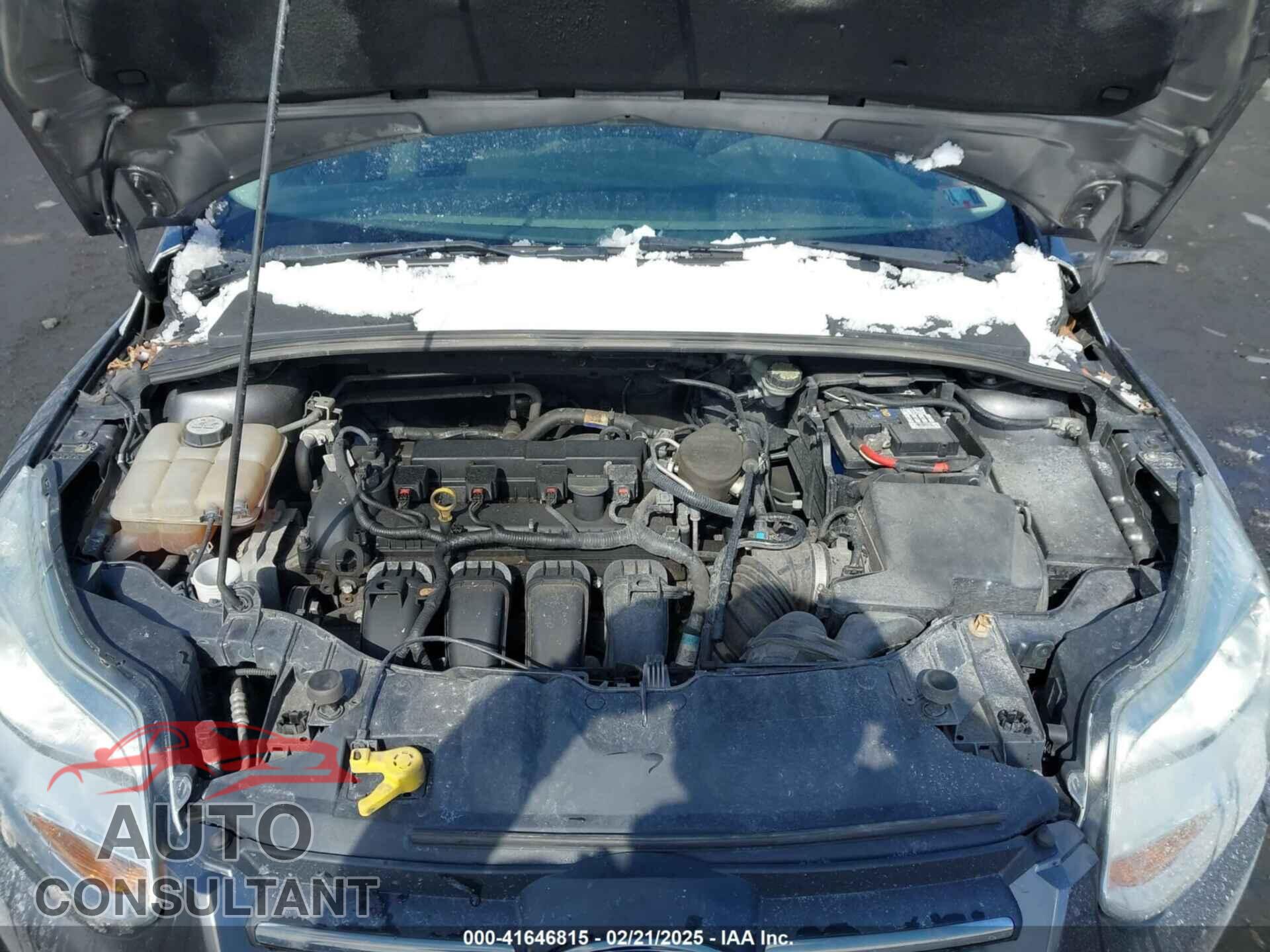FORD FOCUS 2013 - 1FADP3F24DL288221