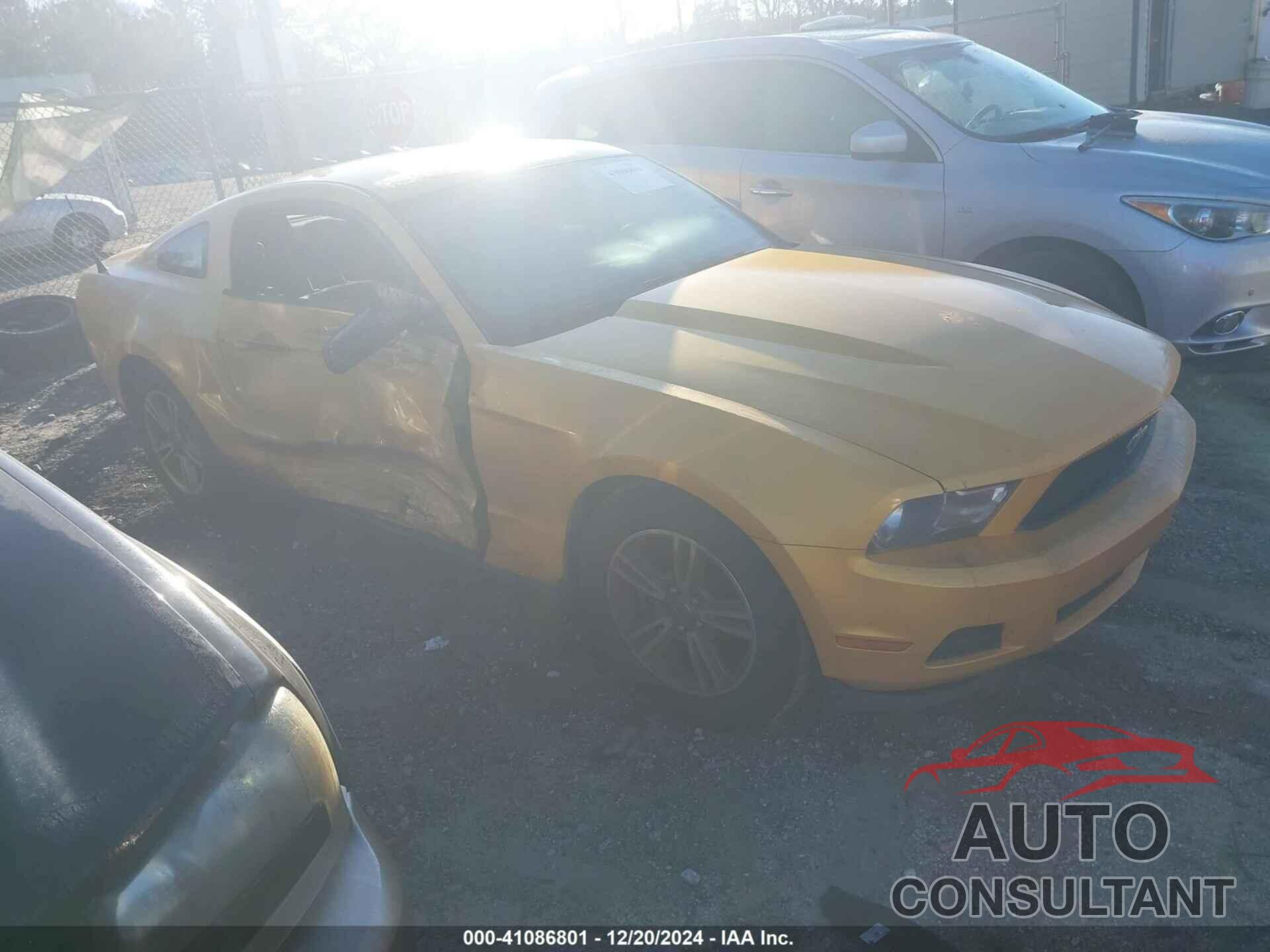 FORD MUSTANG 2011 - 1ZVBP8AM0B5155834