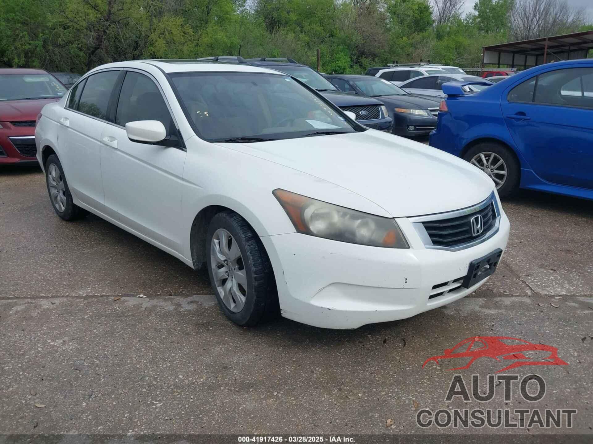 HONDA ACCORD 2009 - JHMCP26729C017904