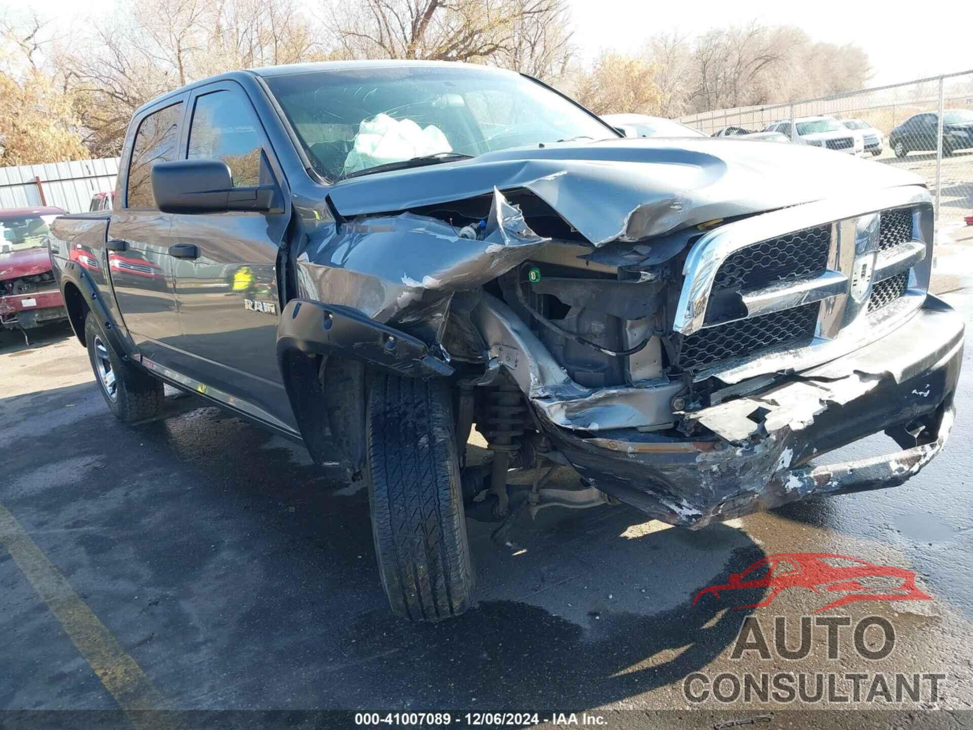 DODGE RAM 1500 2009 - 1D3HV13T19S795049