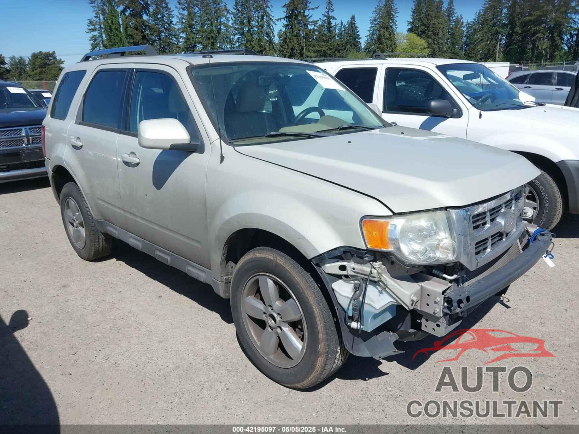 FORD ESCAPE 2009 - 1FMCU94G19KB10386