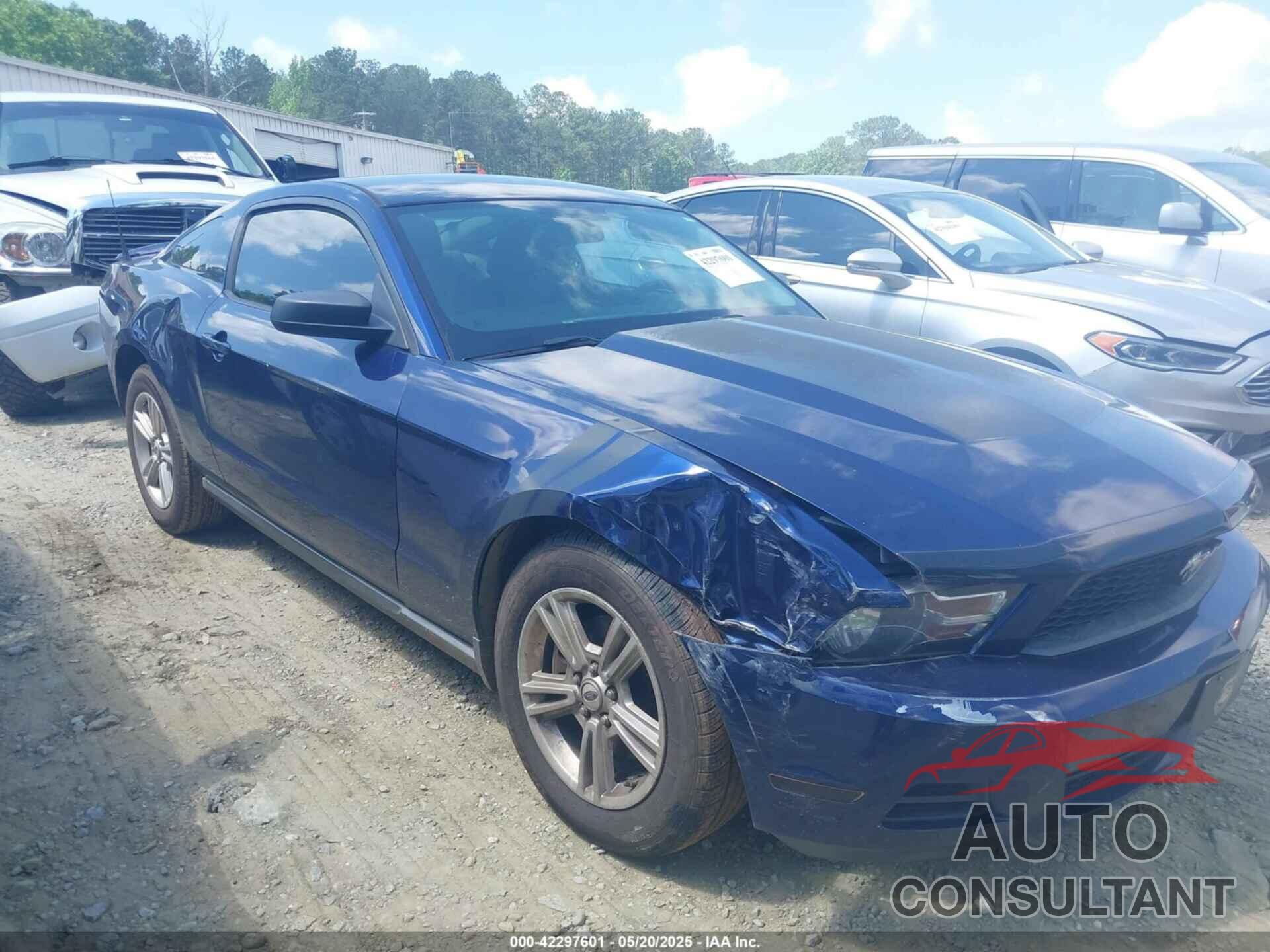 FORD MUSTANG 2011 - 1ZVBP8AM0B5151010
