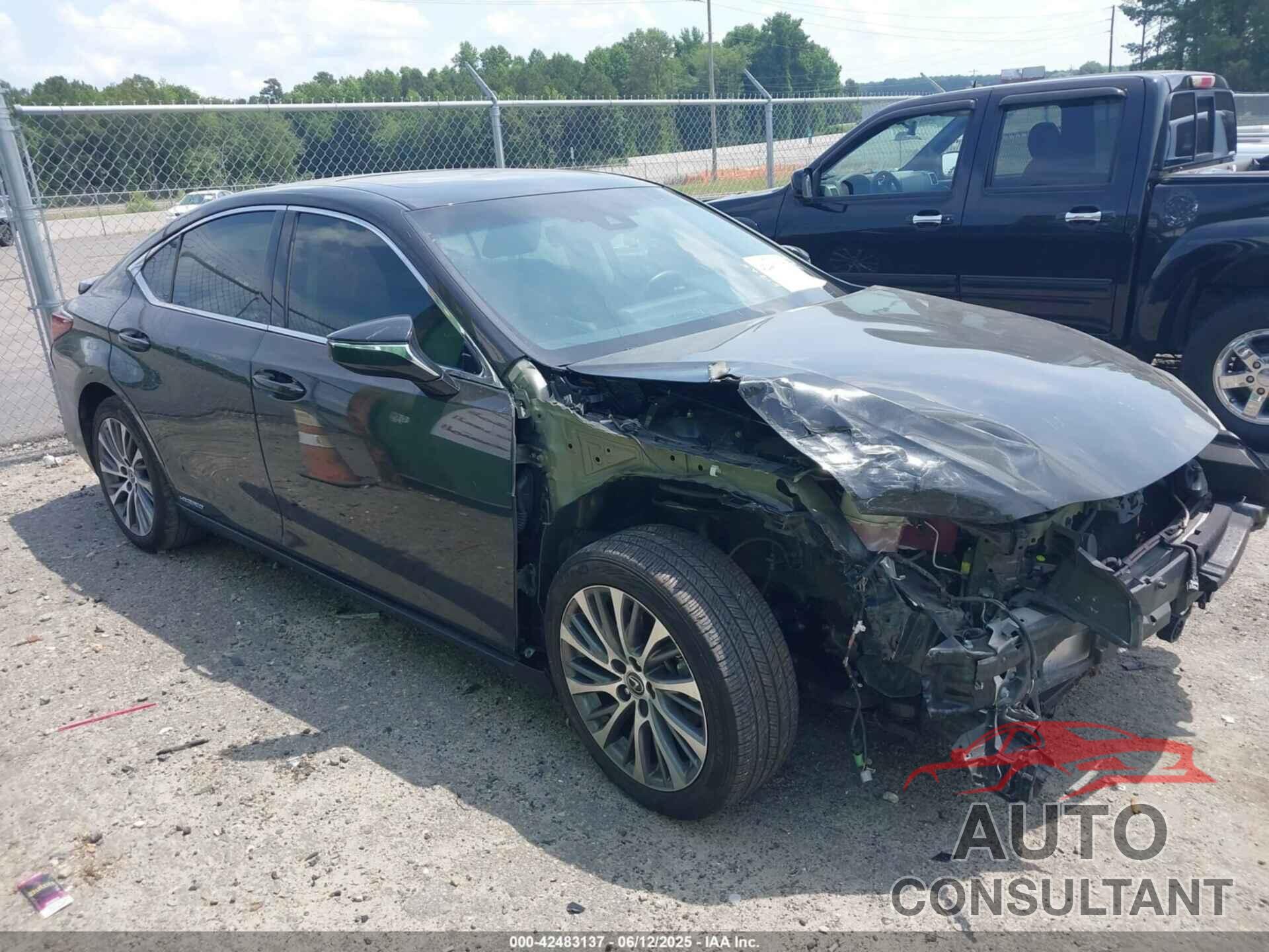 LEXUS ES 300H 2021 - 58ADA1C15MU006579