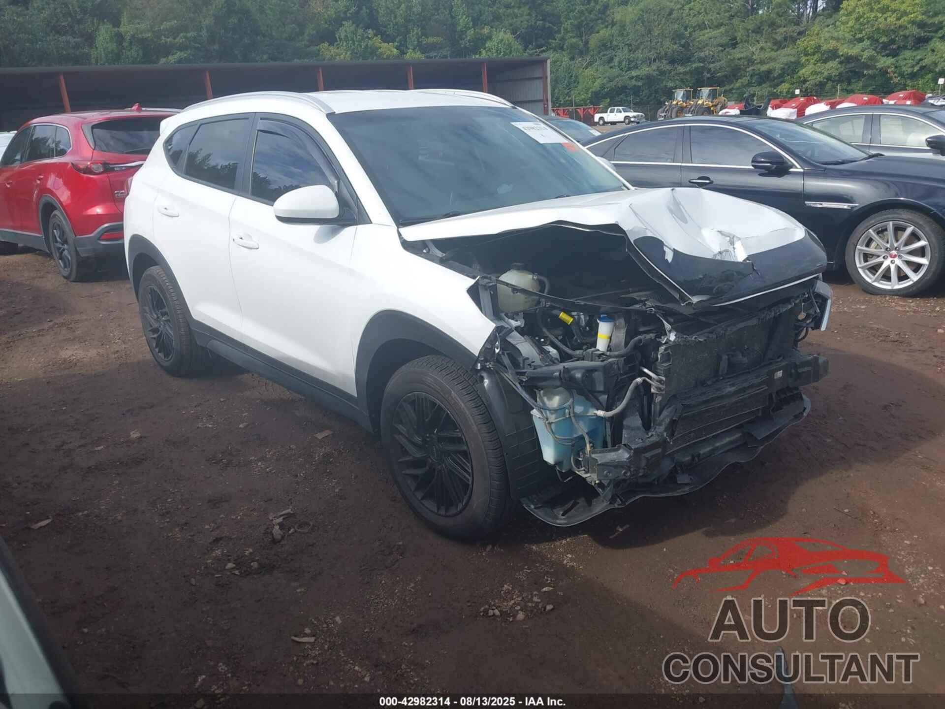 HYUNDAI TUCSON 2019 - KM8J33A42KU847981