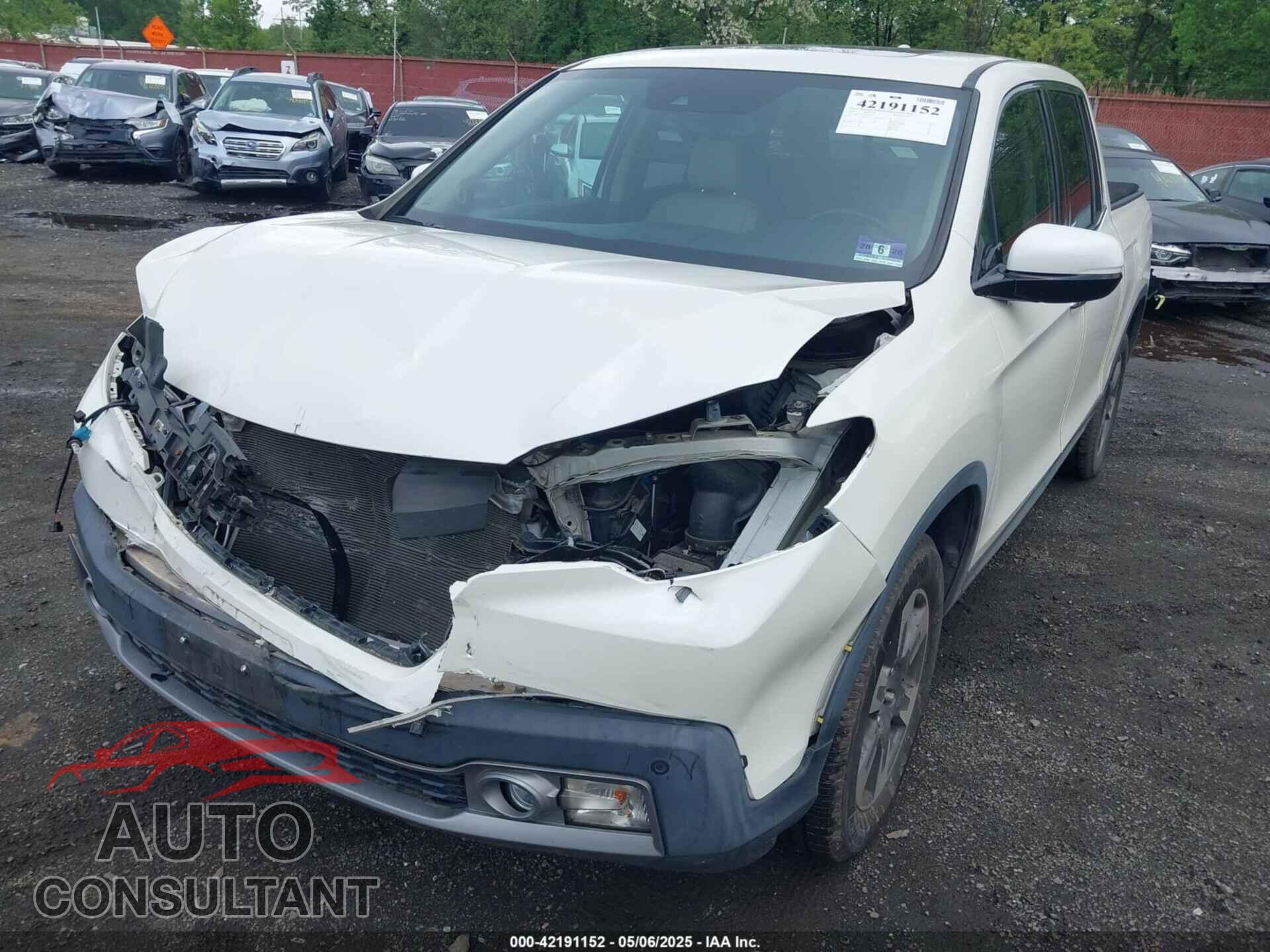 HONDA RIDGELINE 2019 - 5FPYK3F75KB020713