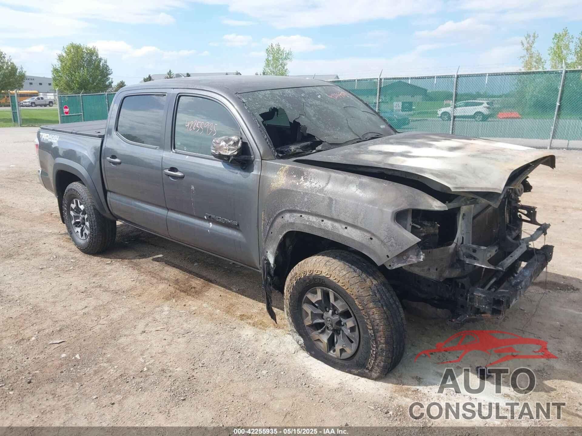 TOYOTA TACOMA 2023 - 3TMCZ5AN0PM636306