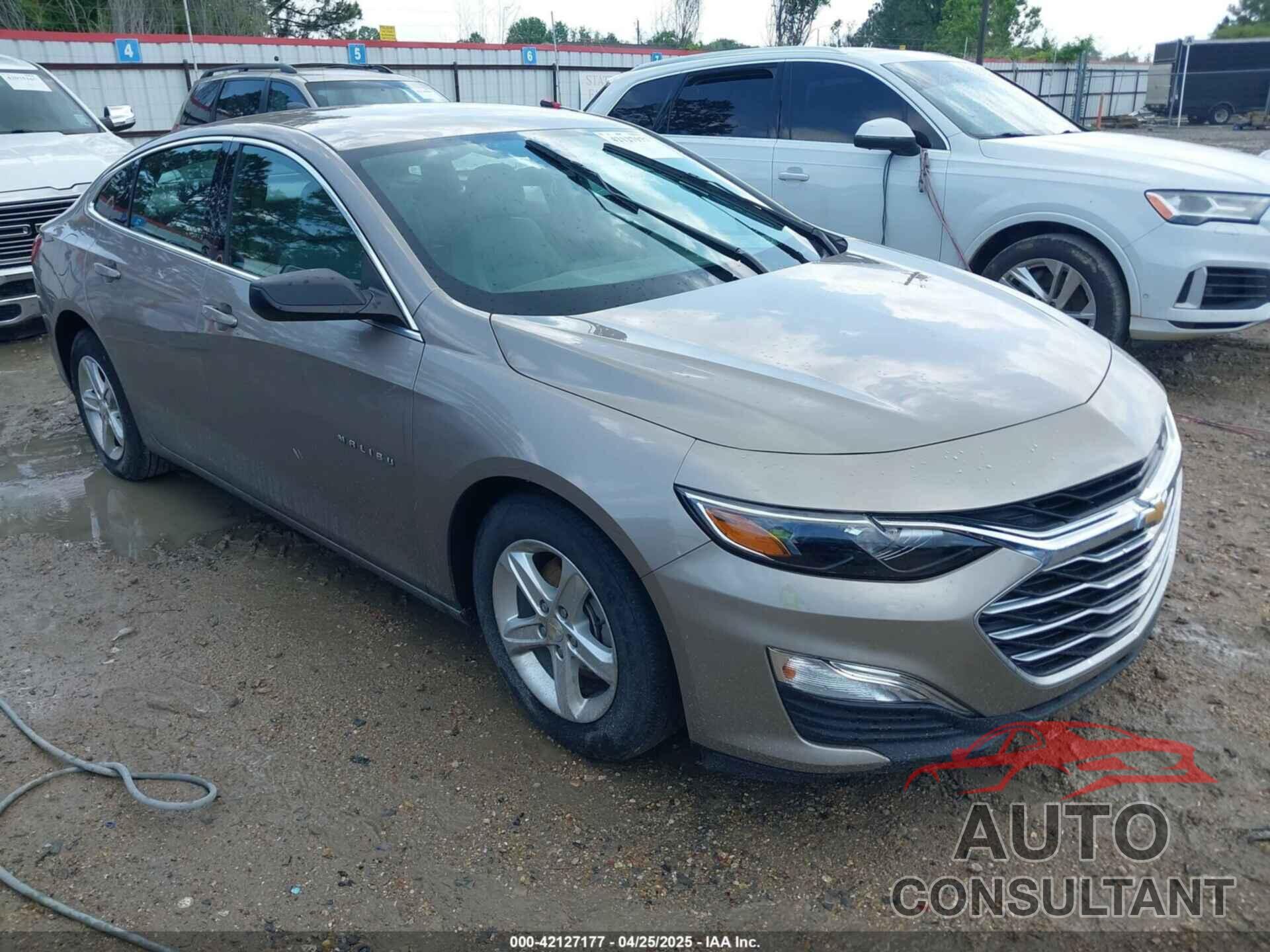 CHEVROLET MALIBU 2022 - 1G1ZB5ST0NF205773
