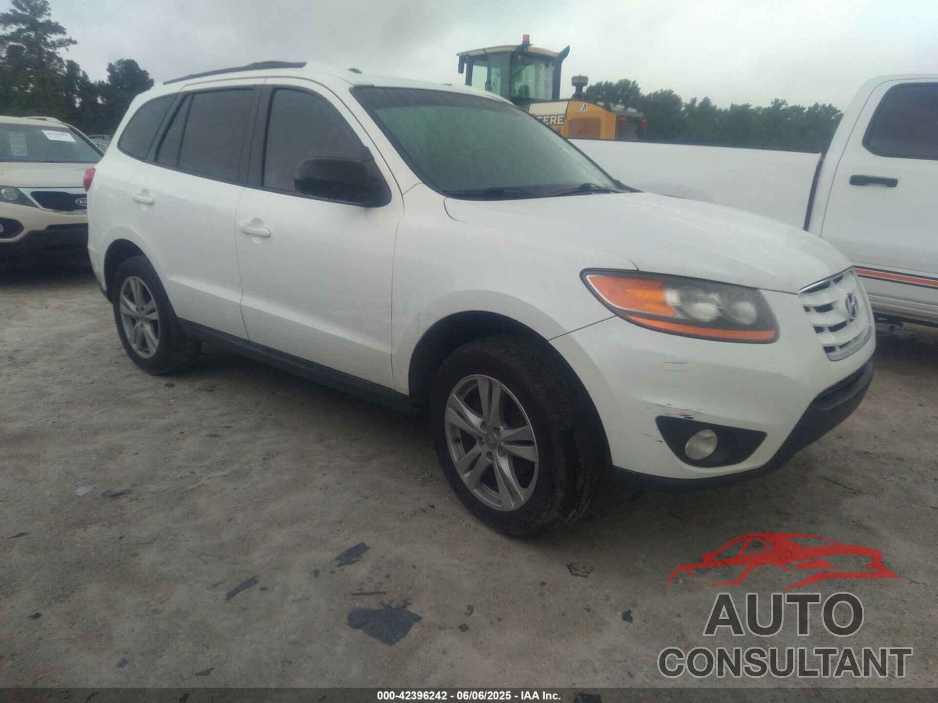 HYUNDAI SANTA FE 2010 - 5NMSH4AG3AH397189
