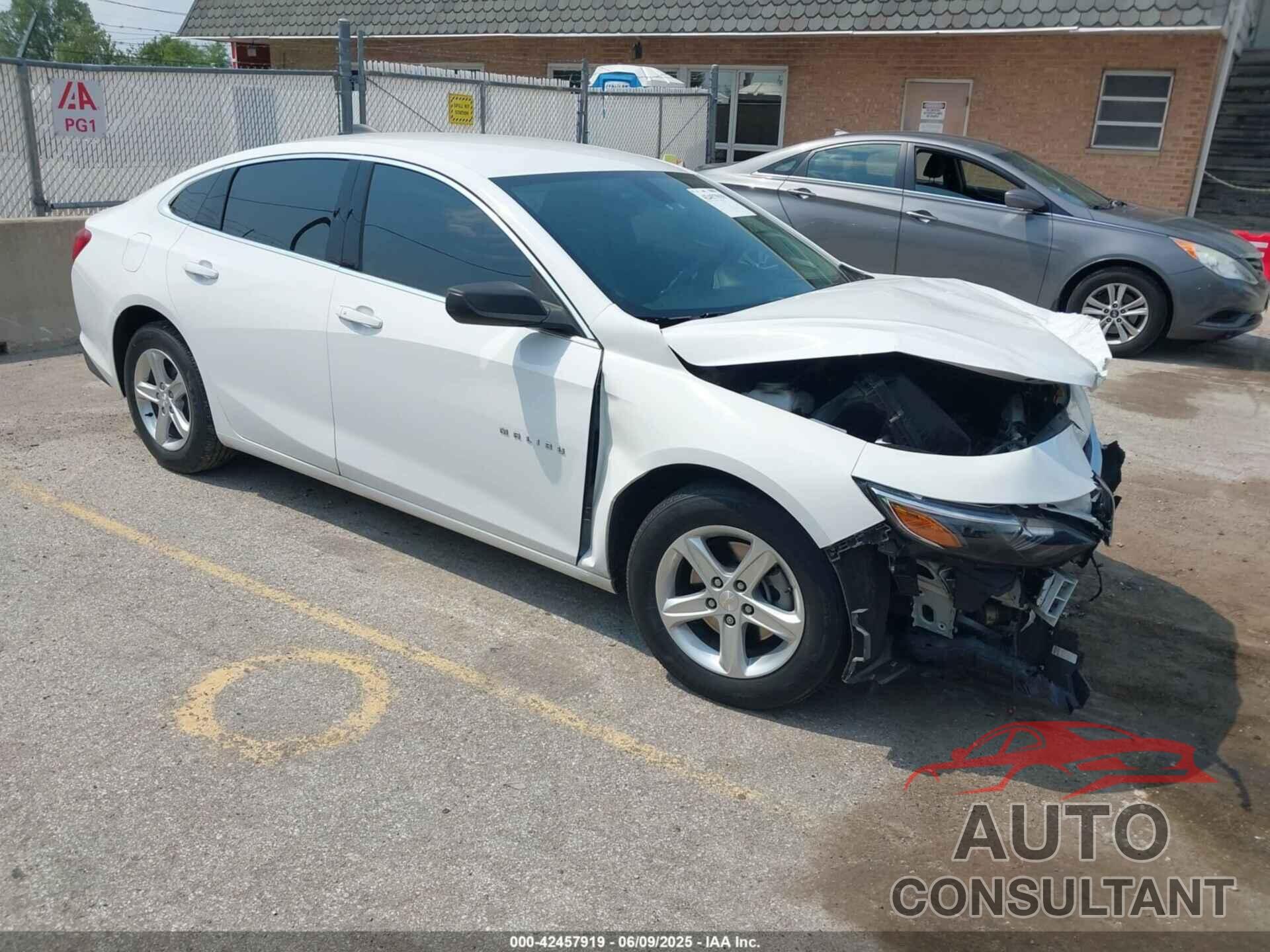 CHEVROLET MALIBU 2019 - 1G1ZB5ST9KF127473