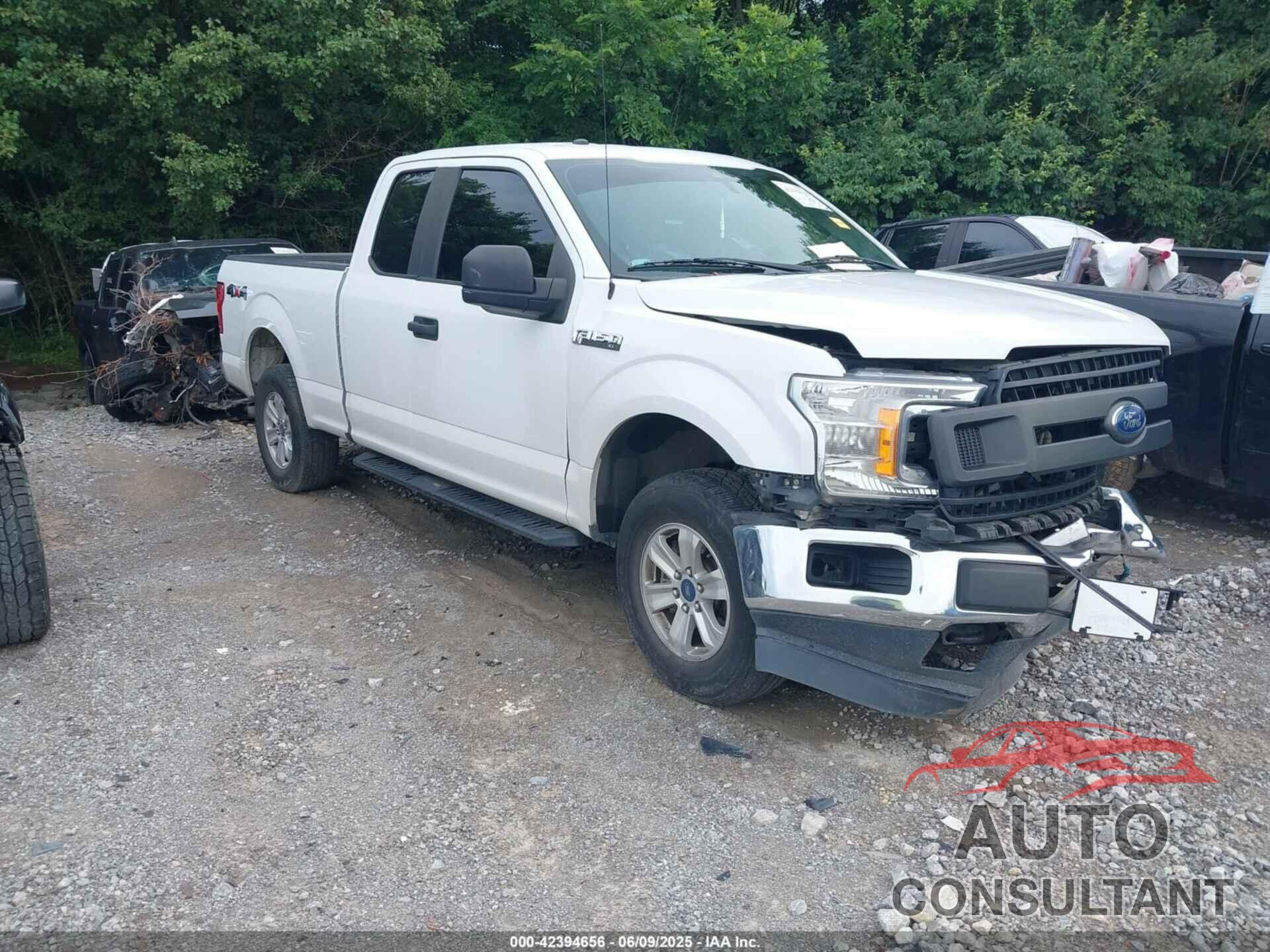 FORD F-150 2019 - 1FTEX1EP1KKF09101