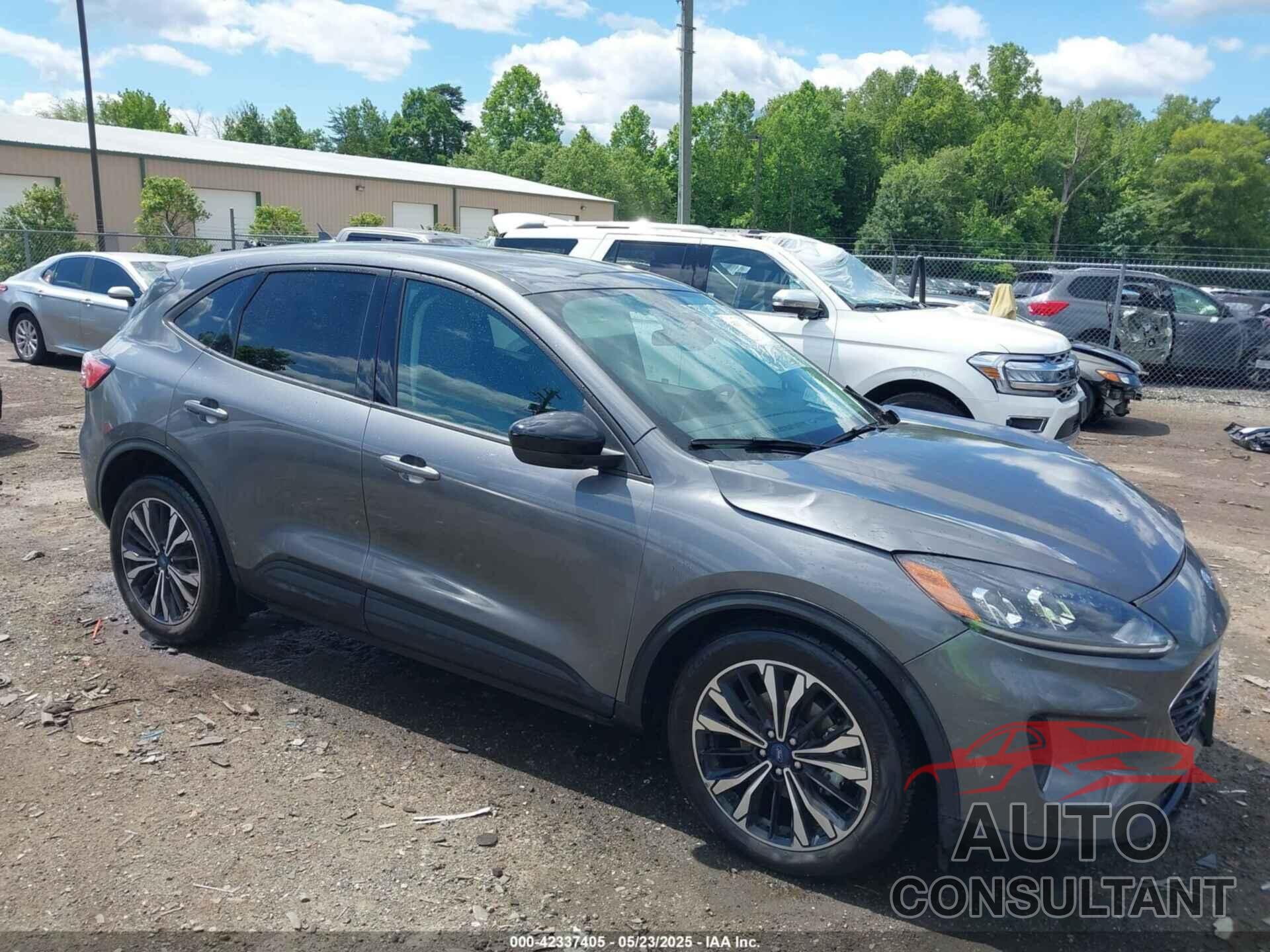 FORD ESCAPE 2022 - 1FMCU0G64NUB96239