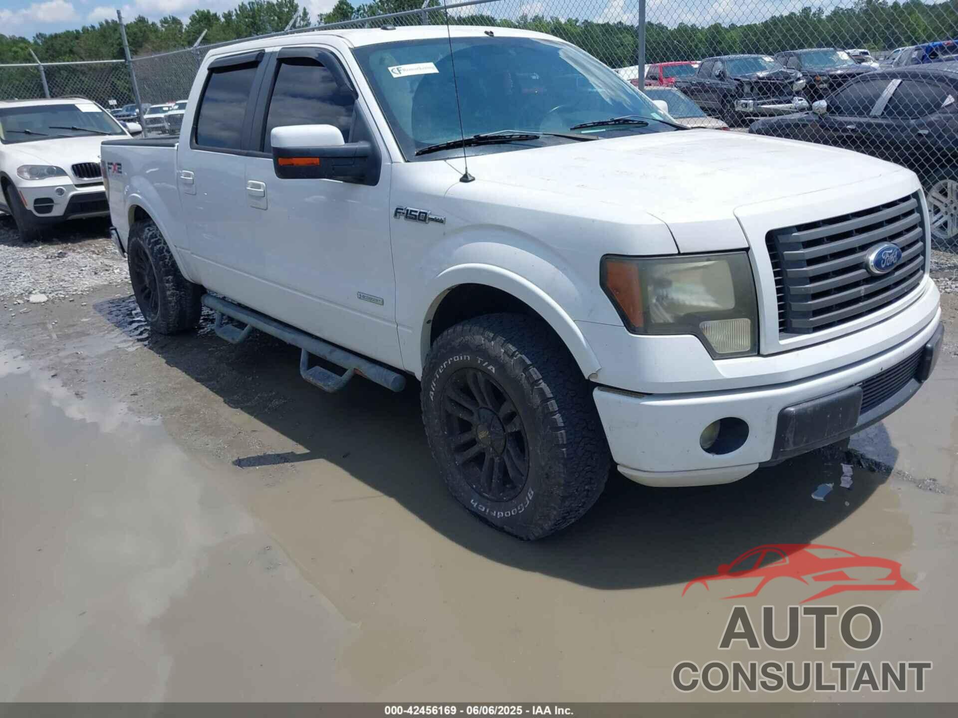 FORD F-150 2011 - 1FTFW1CT2BKD81054