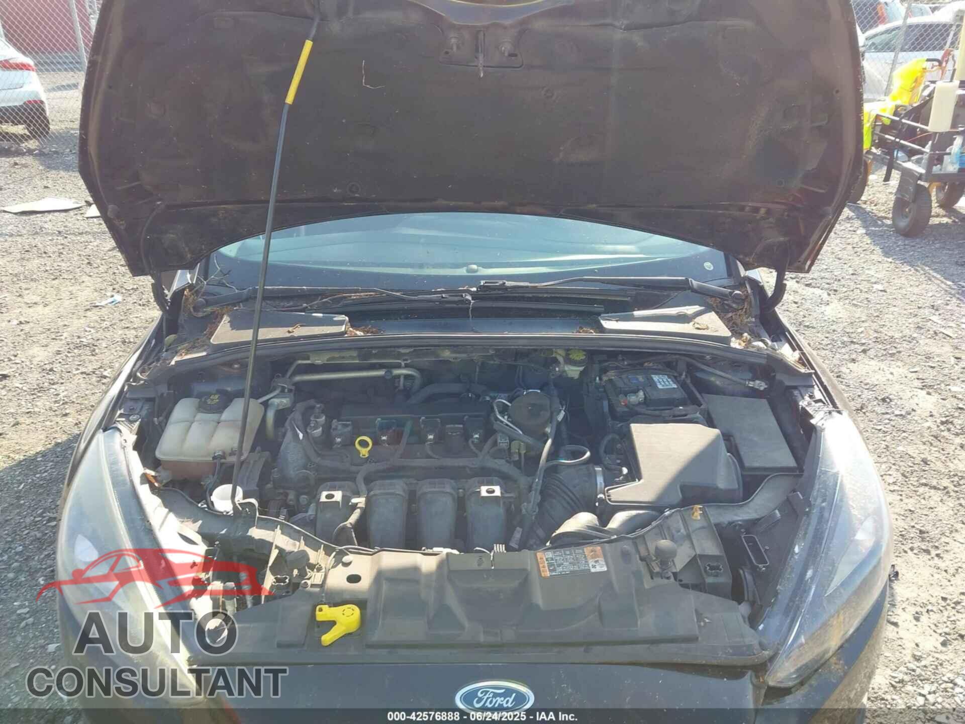 FORD FOCUS 2016 - 1FADP3K22GL233082