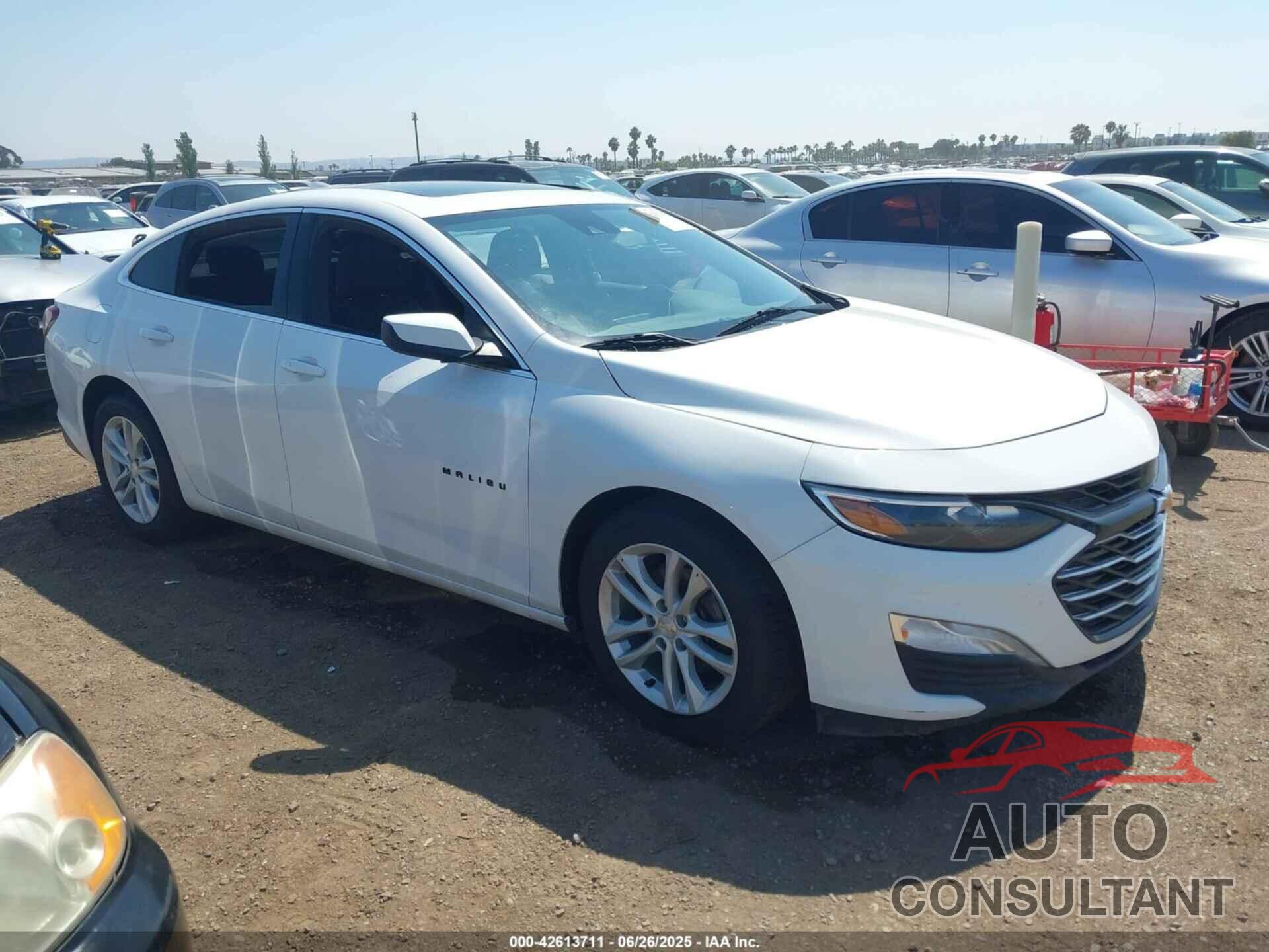 CHEVROLET MALIBU 2019 - 1G1ZD5ST9KF211139