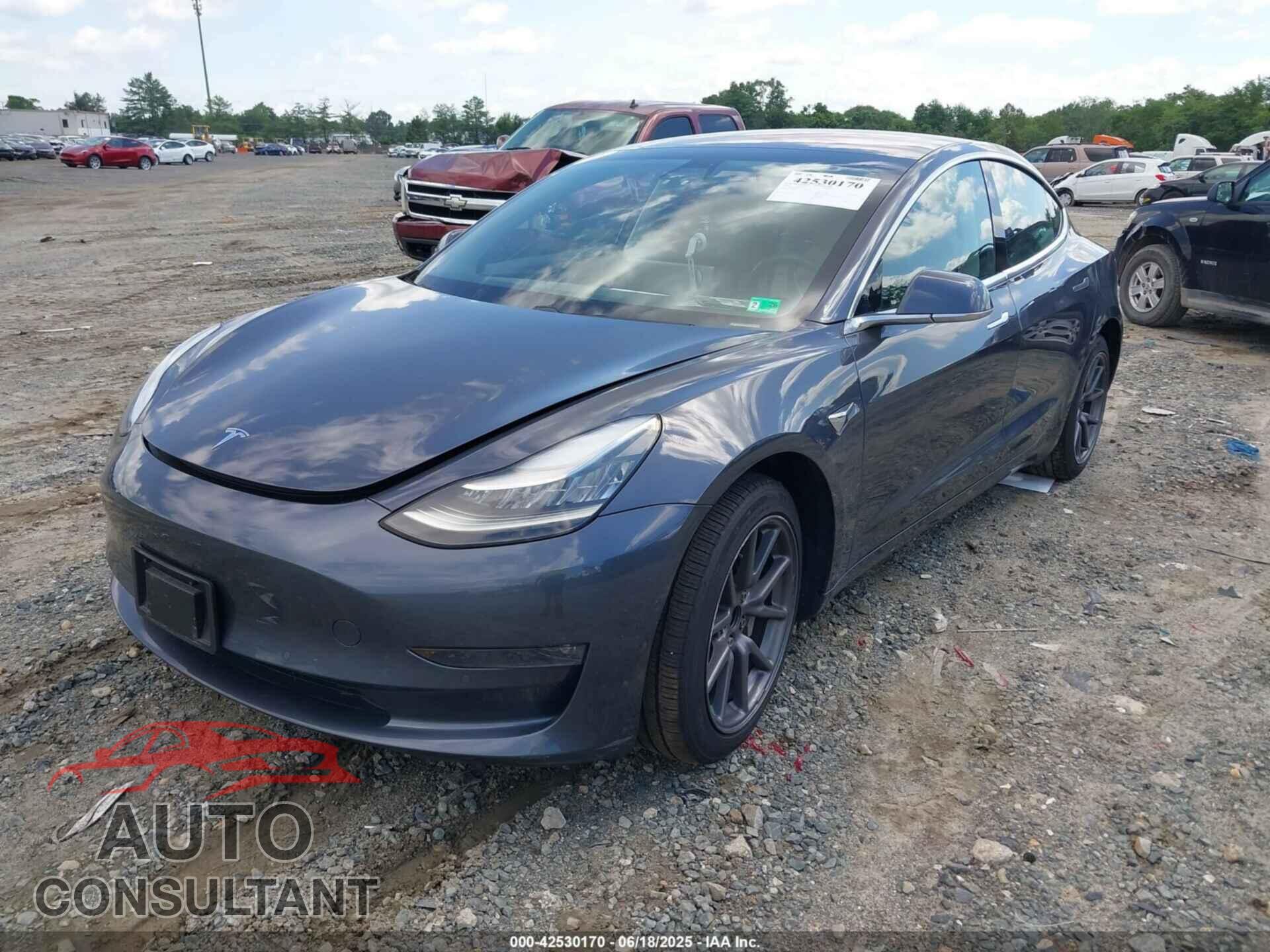 TESLA MODEL 3 2019 - 5YJ3E1EB1KF205720
