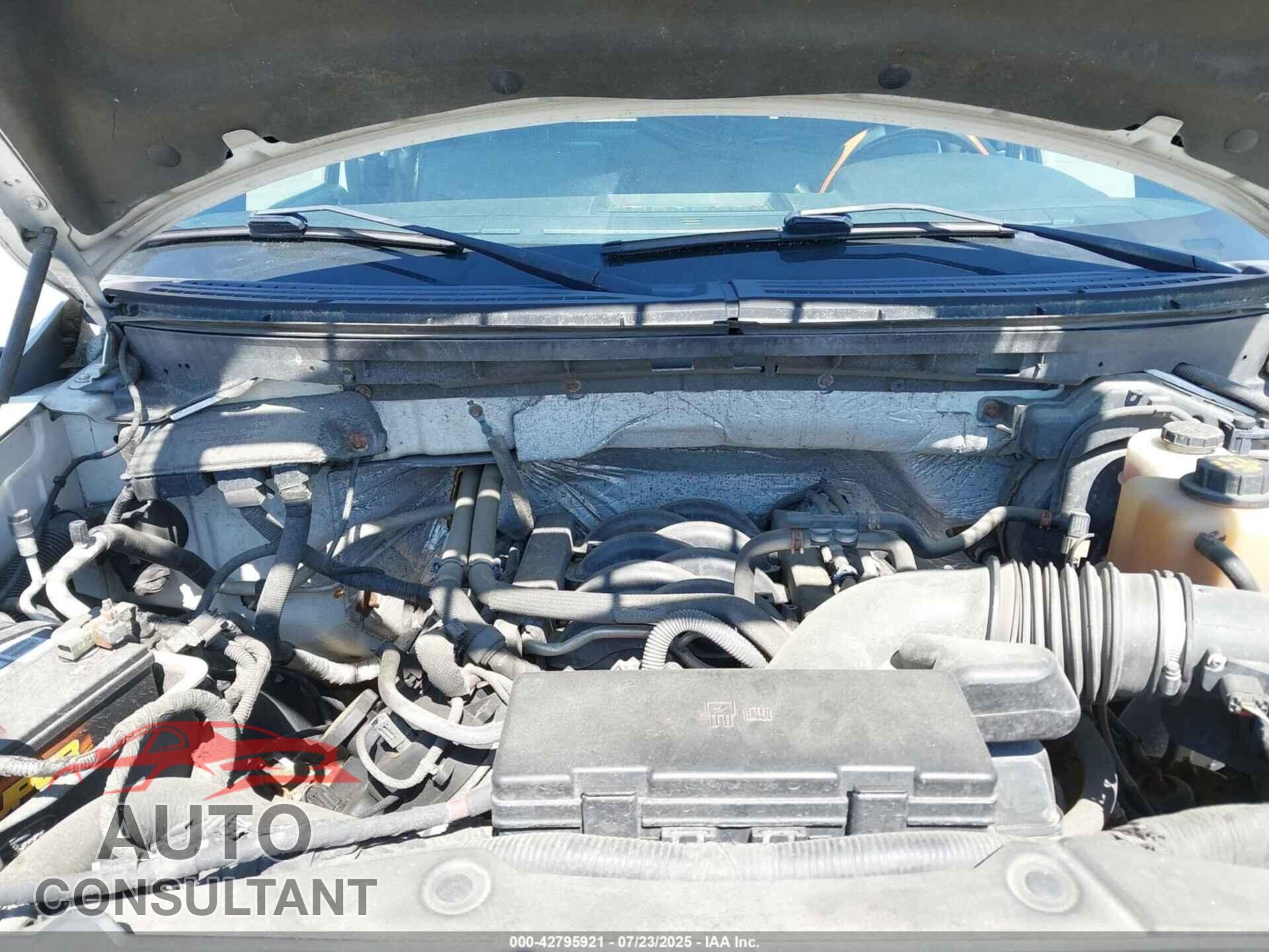 FORD F-150 2012 - 1FTFX1EF5CFA36647