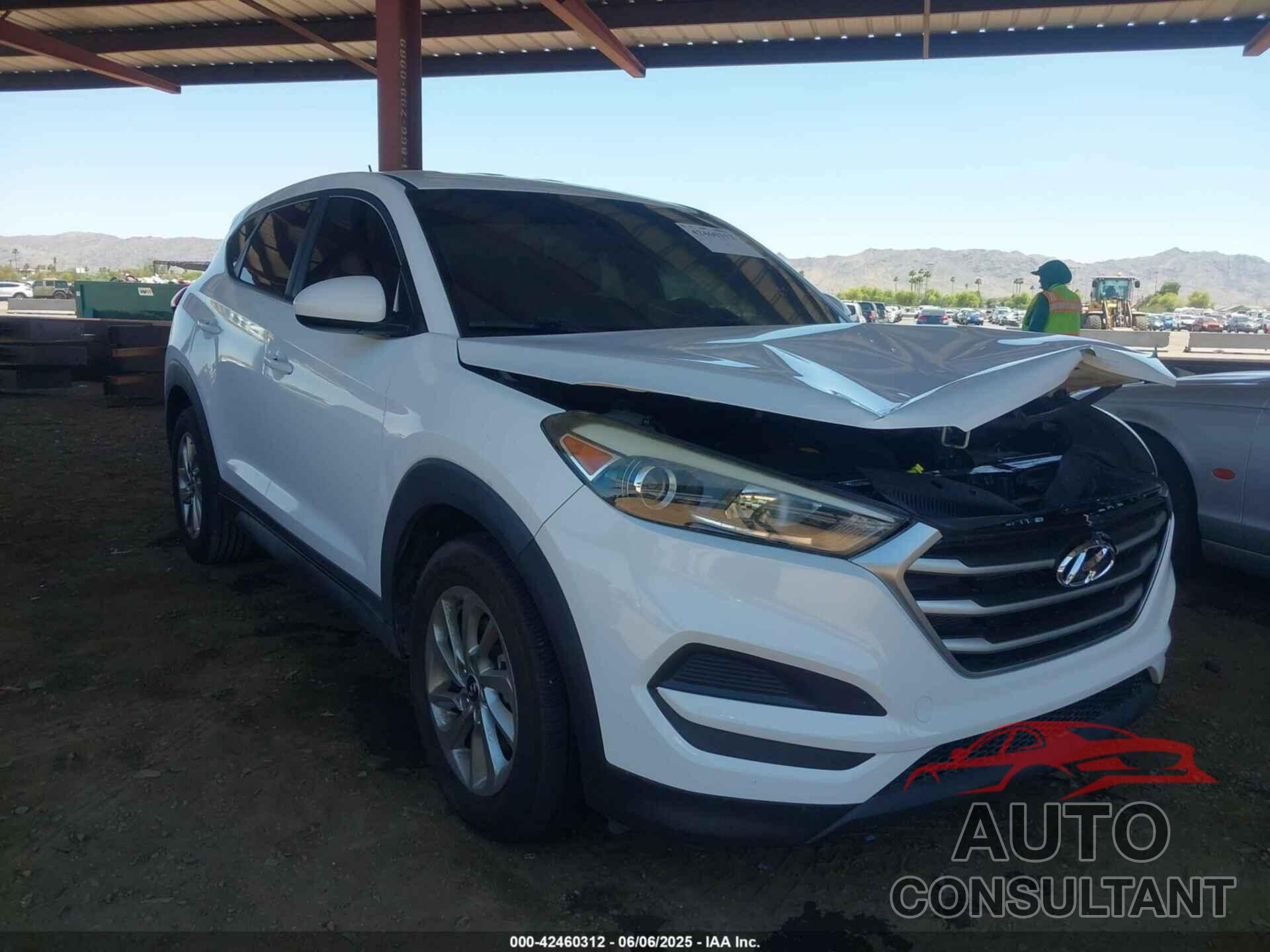 HYUNDAI TUCSON 2017 - KM8J23A45HU508711