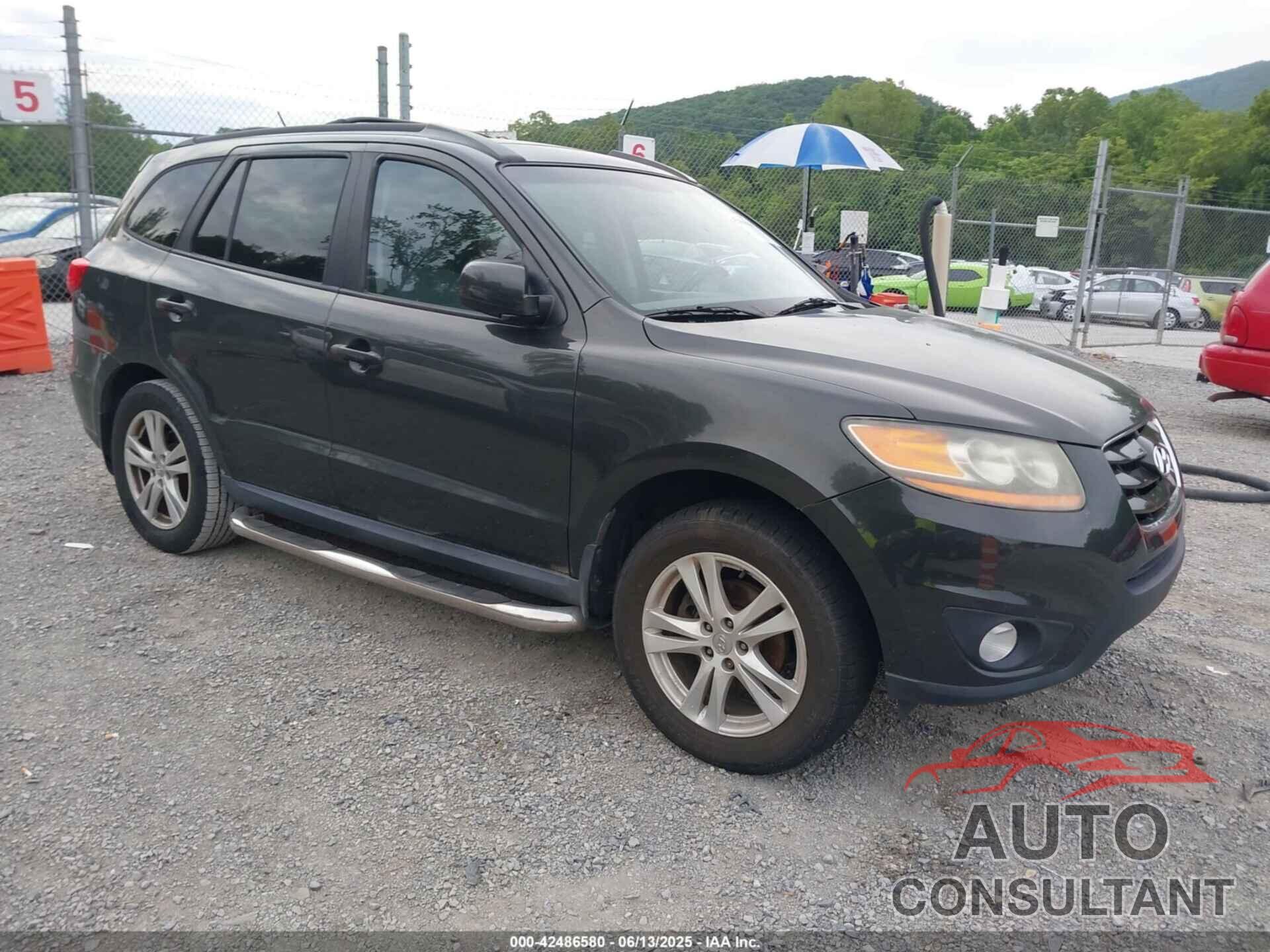 HYUNDAI SANTA FE 2010 - 5NMSH4AG4AH395144