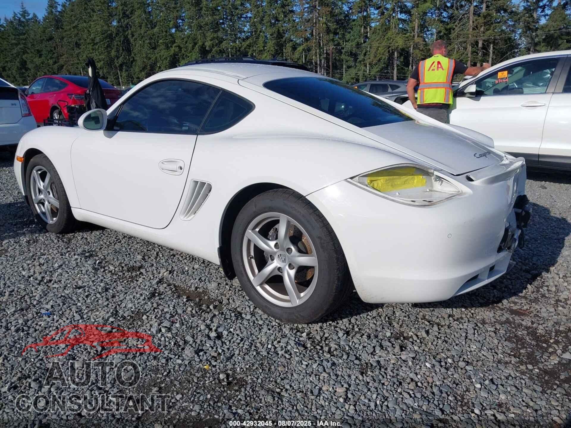 PORSCHE CAYMAN 2010 - WP0AA2A82AU760829