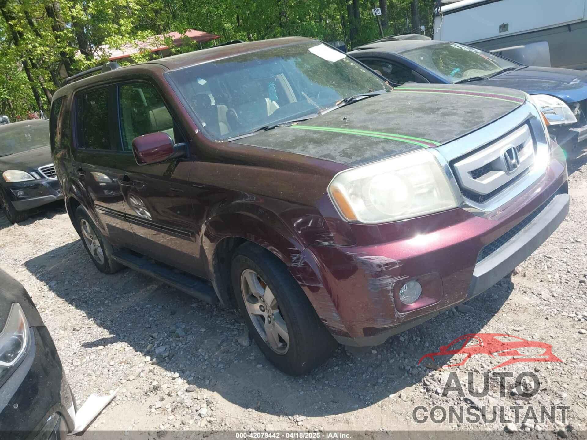HONDA PILOT 2009 - 5FNYF48589B013084