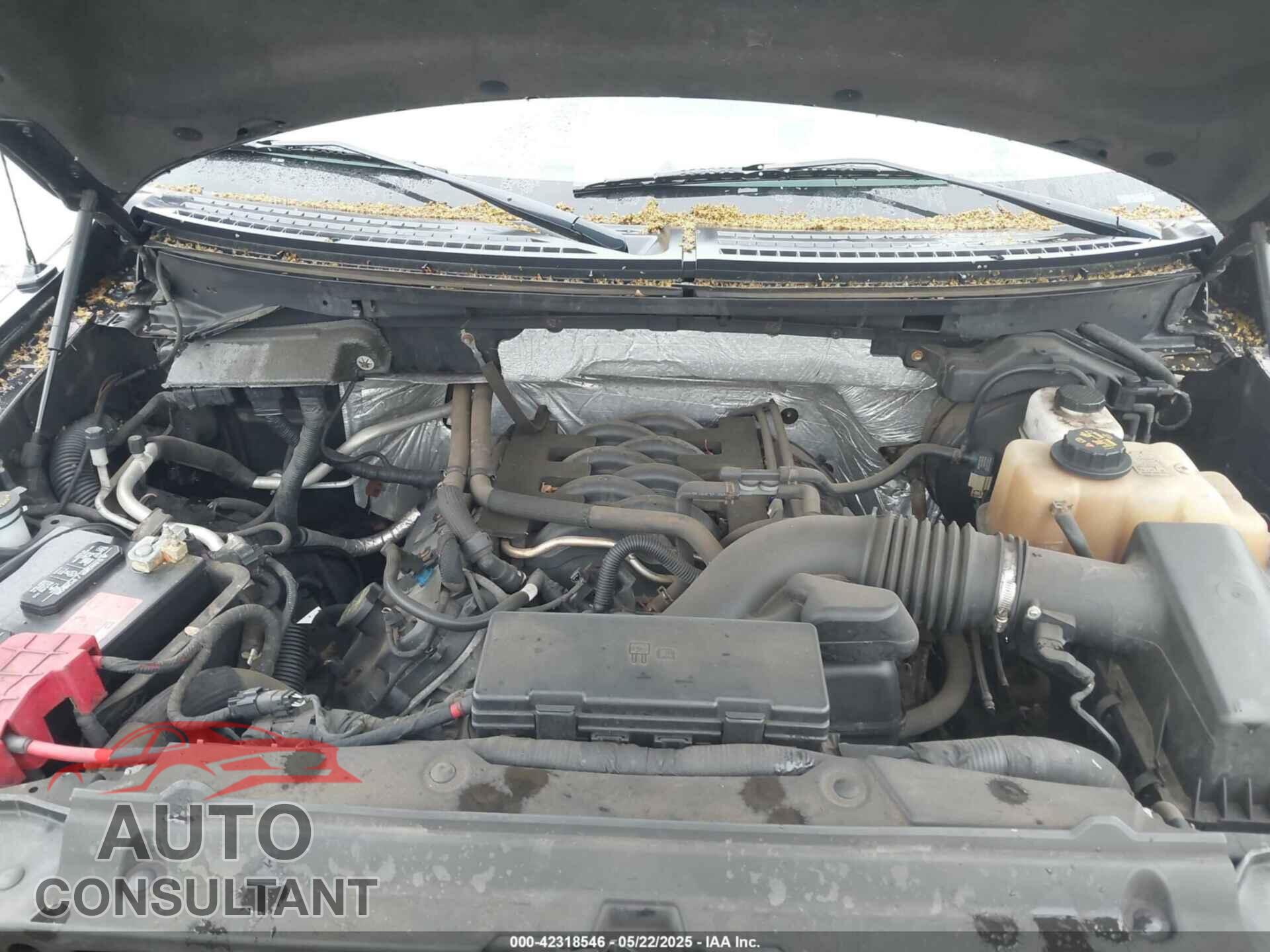 FORD F-150 2011 - 1FTFW1EF7BFC62044