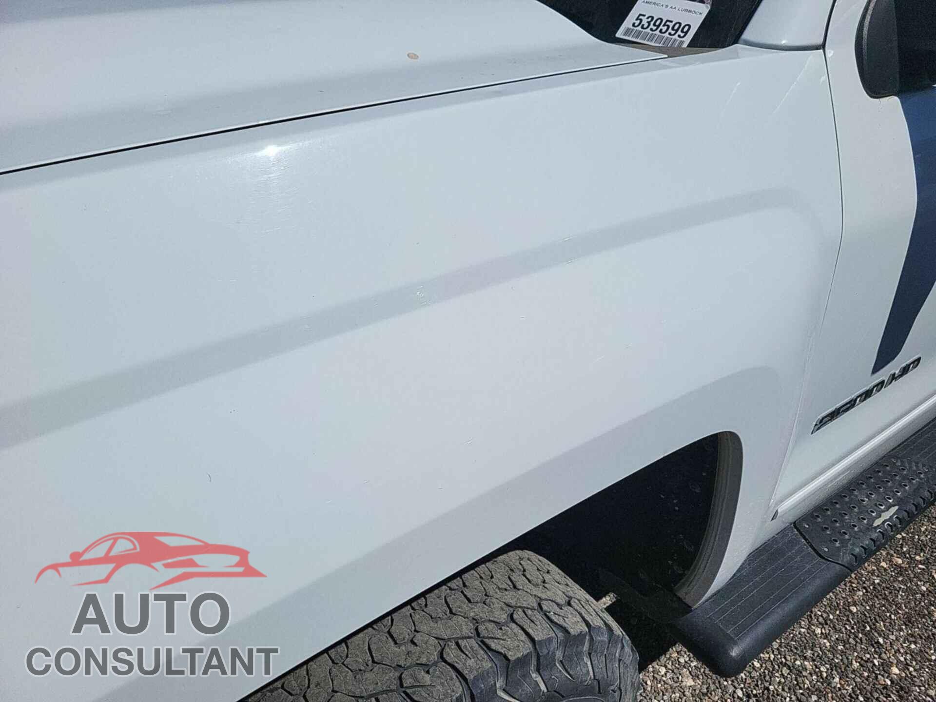 CHEVROLET SILVERADO 2019 - 2GC2KSEG5K1209293
