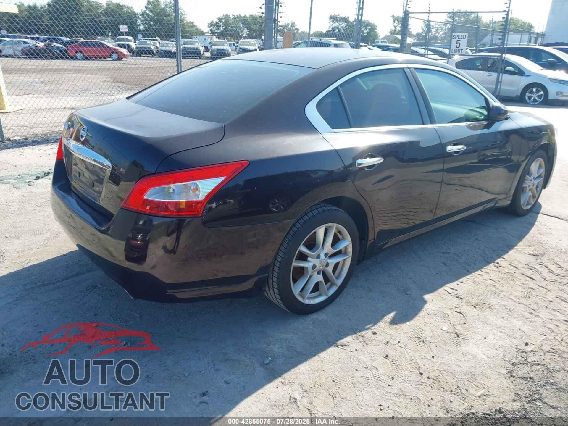NISSAN MAXIMA 2011 - 1N4AA5AP8BC801390