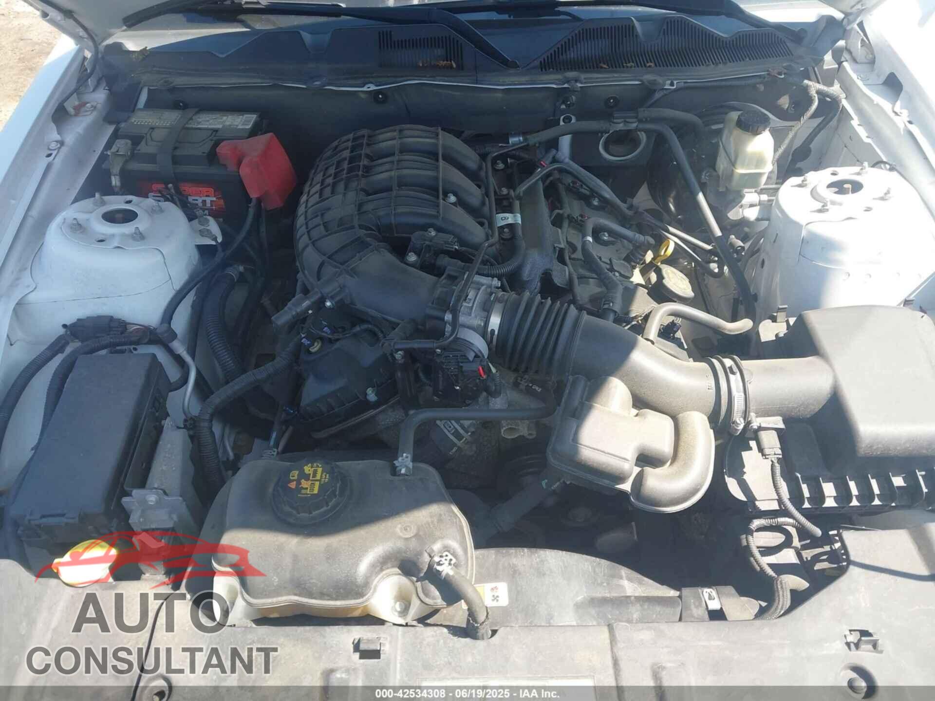 FORD MUSTANG 2014 - 1ZVBP8AM4E5282462