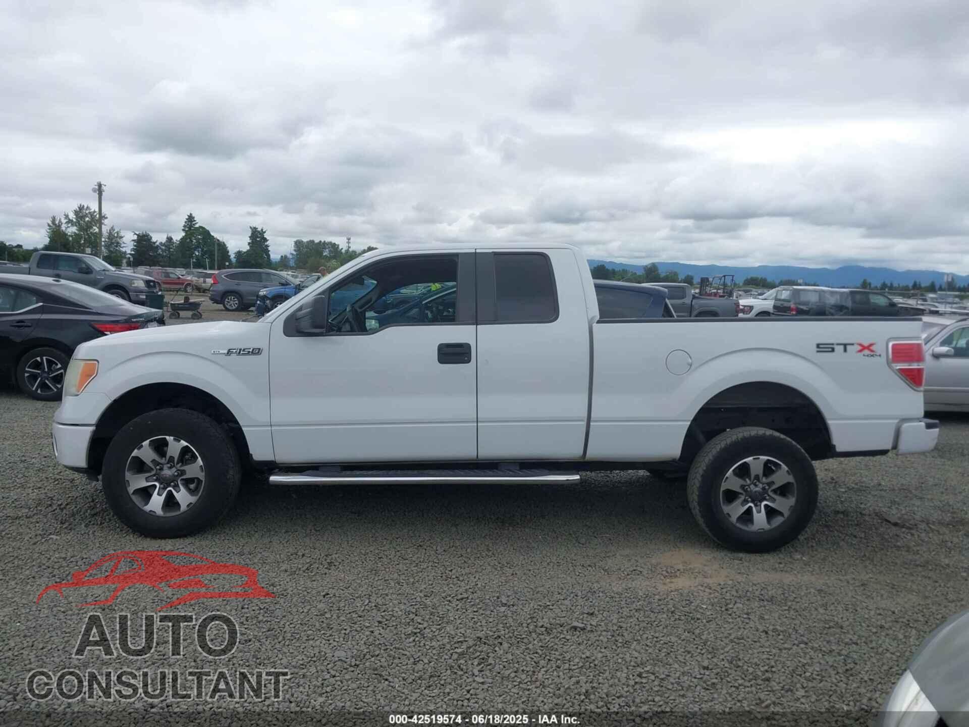 FORD F-150 2012 - 1FTFX1EF4CFB24976