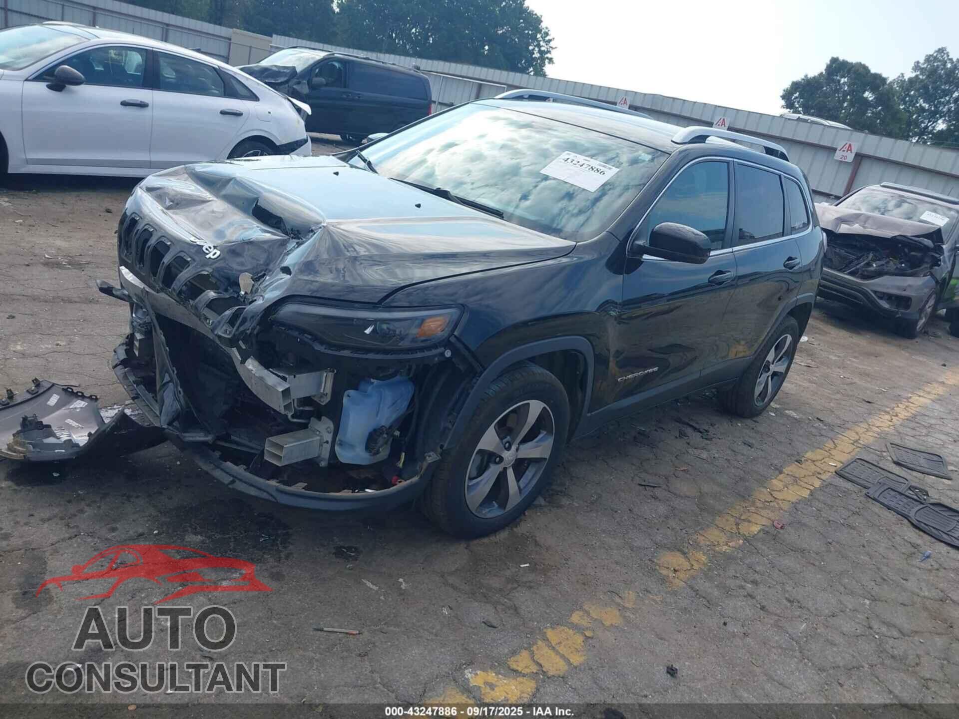 JEEP CHEROKEE 2019 - 1C4PJMDX2KD423507