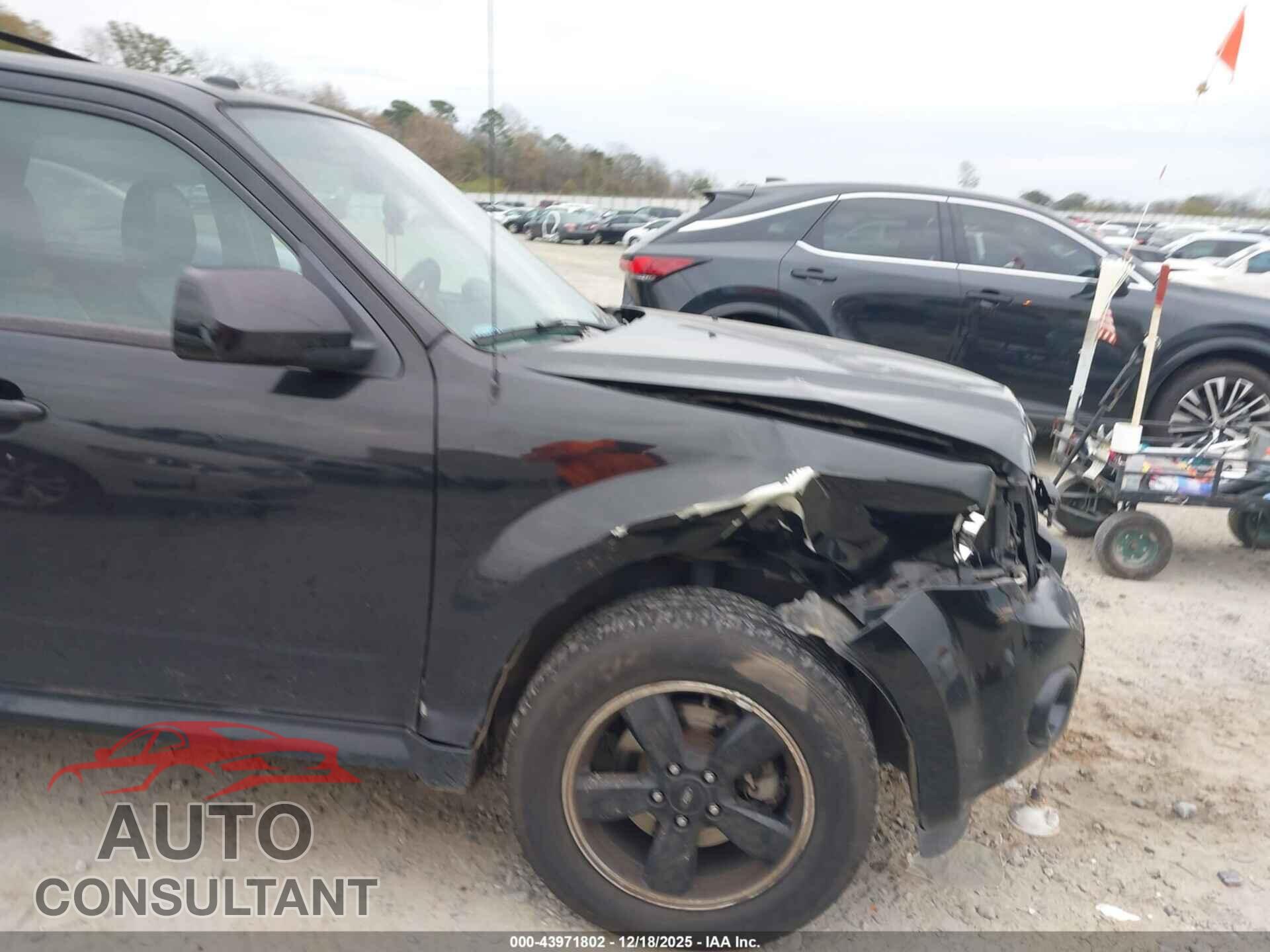 FORD ESCAPE 2010 - 1FMCU0DG1AKB54596