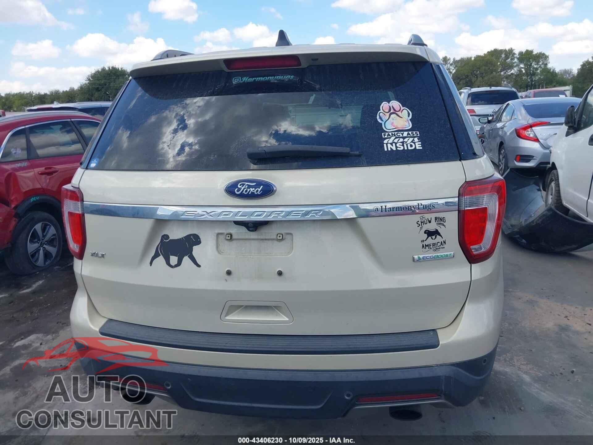FORD EXPLORER 2018 - 1FM5K7DH0JGB32124