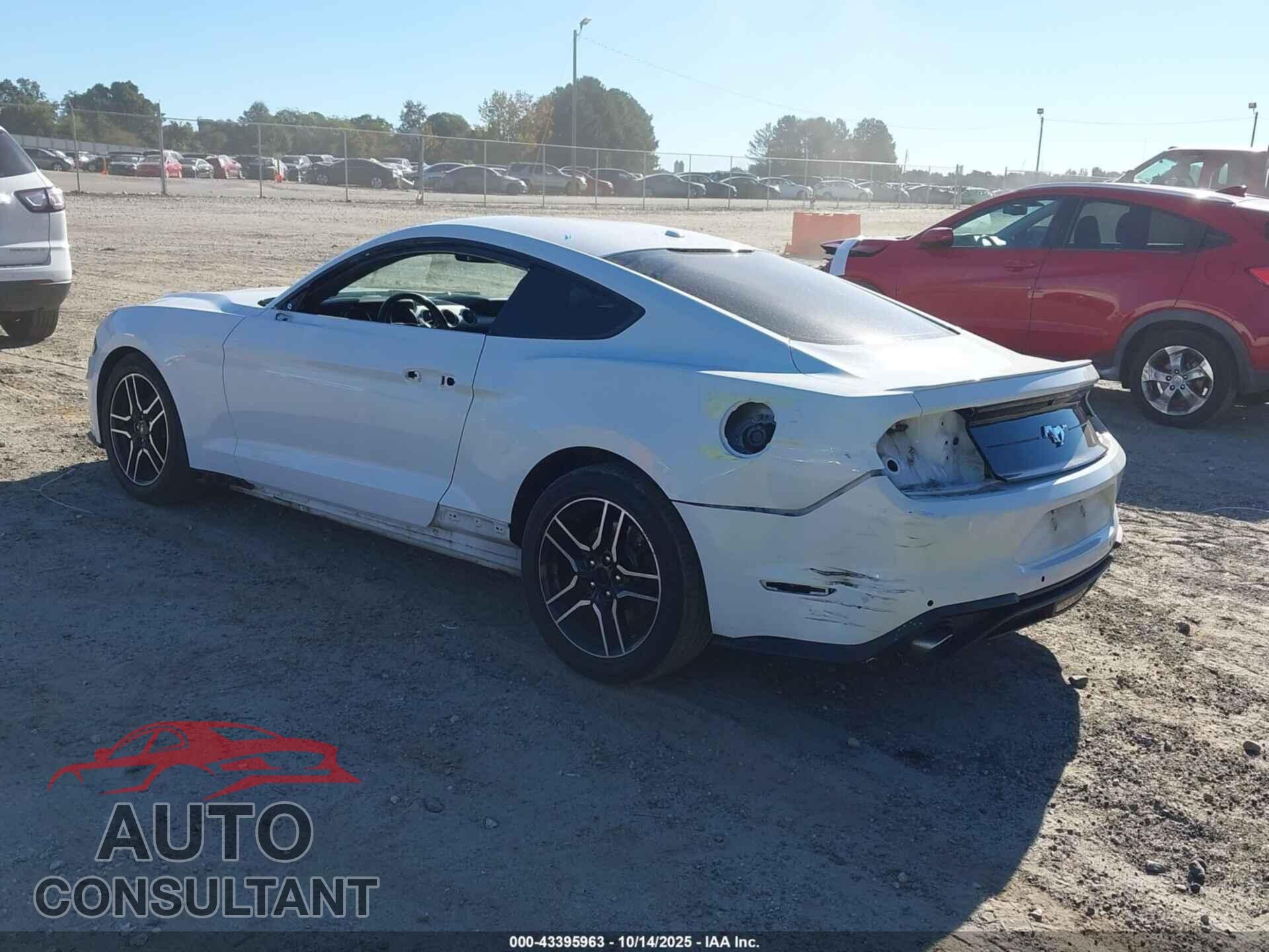 FORD MUSTANG 2020 - 1FA6P8TH3L5120121