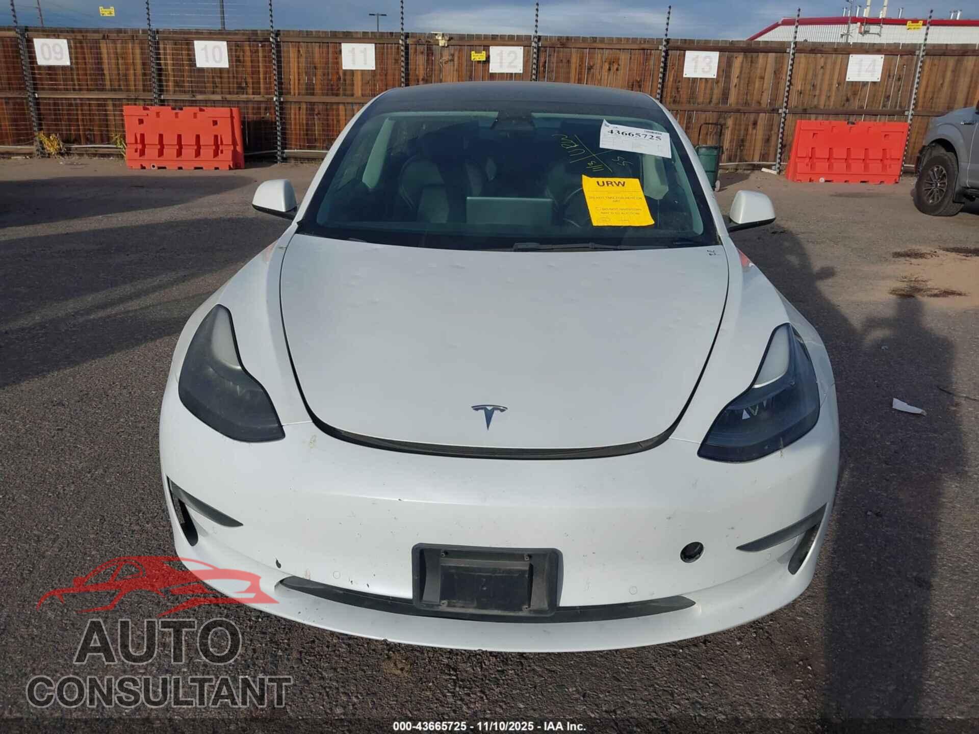 TESLA MODEL 3 2022 - 5YJ3E1EB0NF194746