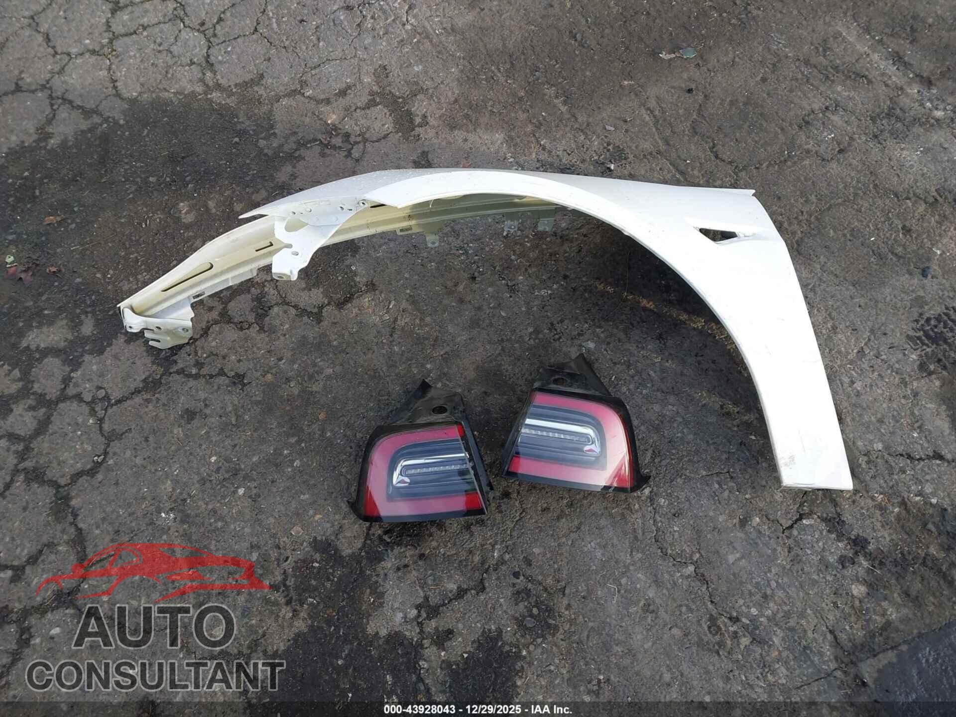 TESLA MODEL 3 2020 - 5YJ3E1EA0LF804567