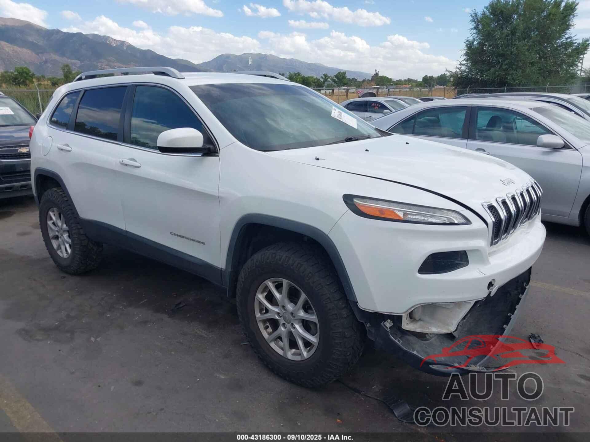 JEEP CHEROKEE 2014 - 1C4PJMCB6EW321707