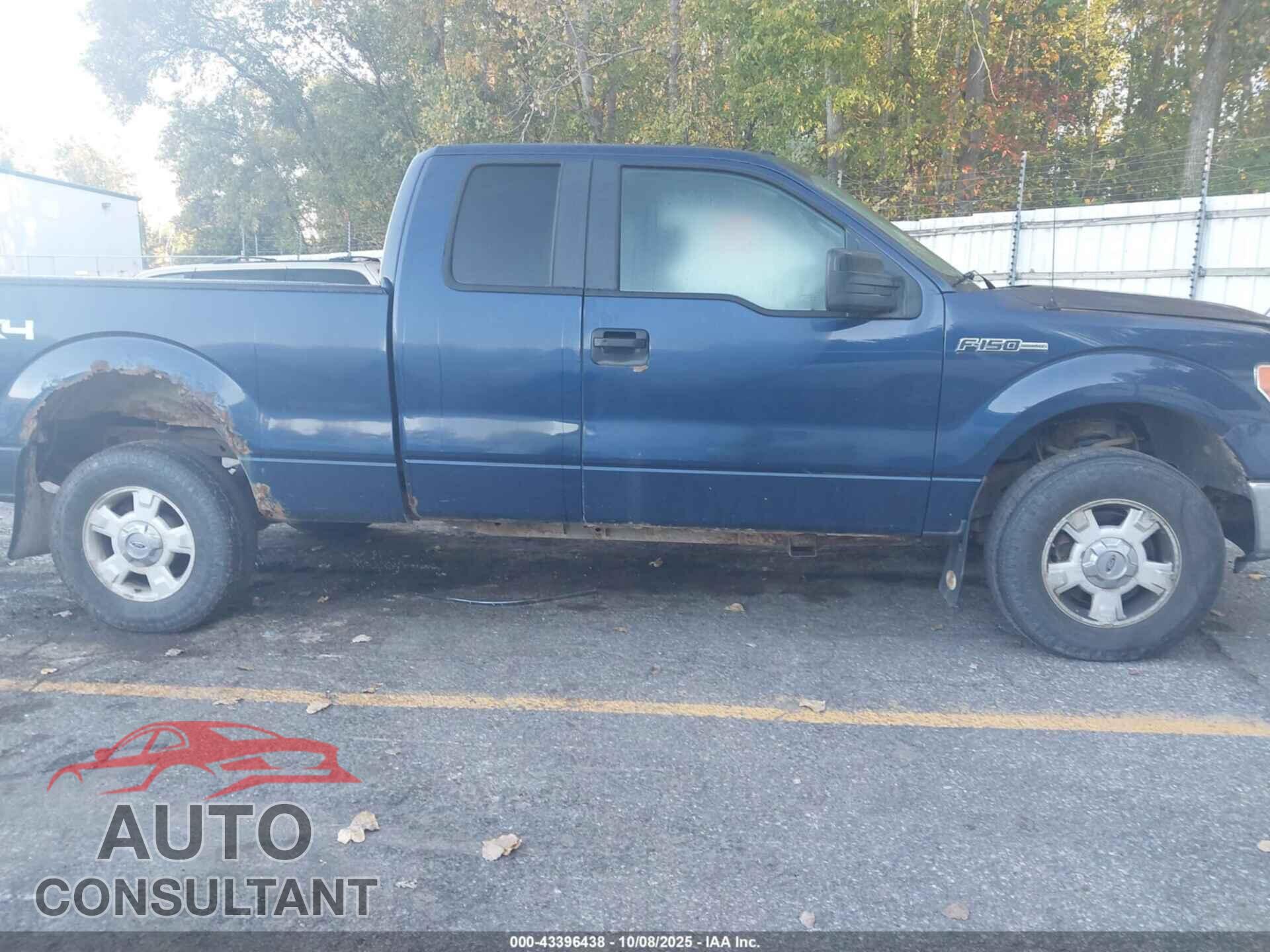 FORD F-150 2010 - 1FTFX1EV6AFA10580