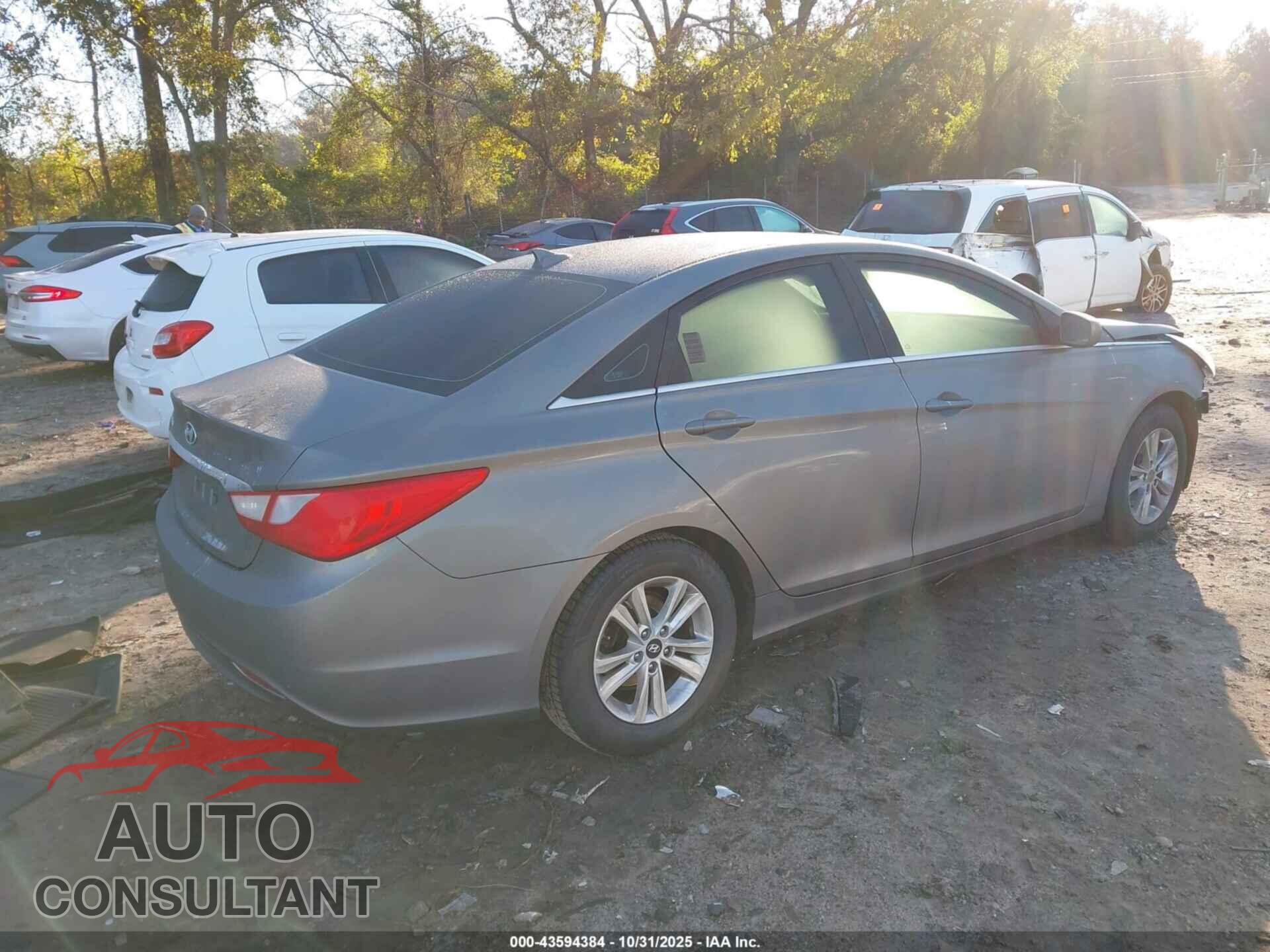 HYUNDAI SONATA 2013 - 5NPEB4AC9DH627403