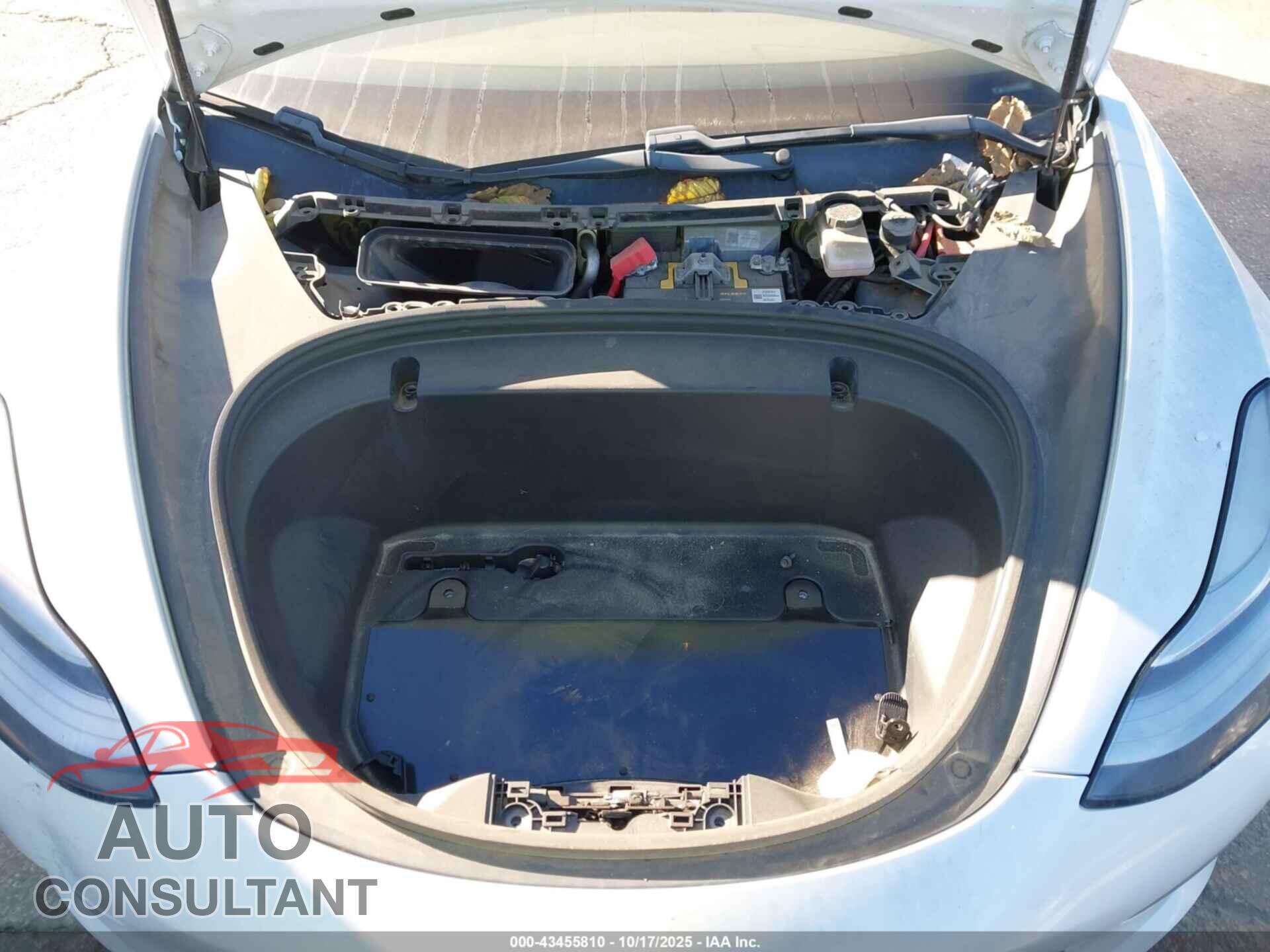 TESLA MODEL 3 2019 - 5YJ3E1EB4KF231809