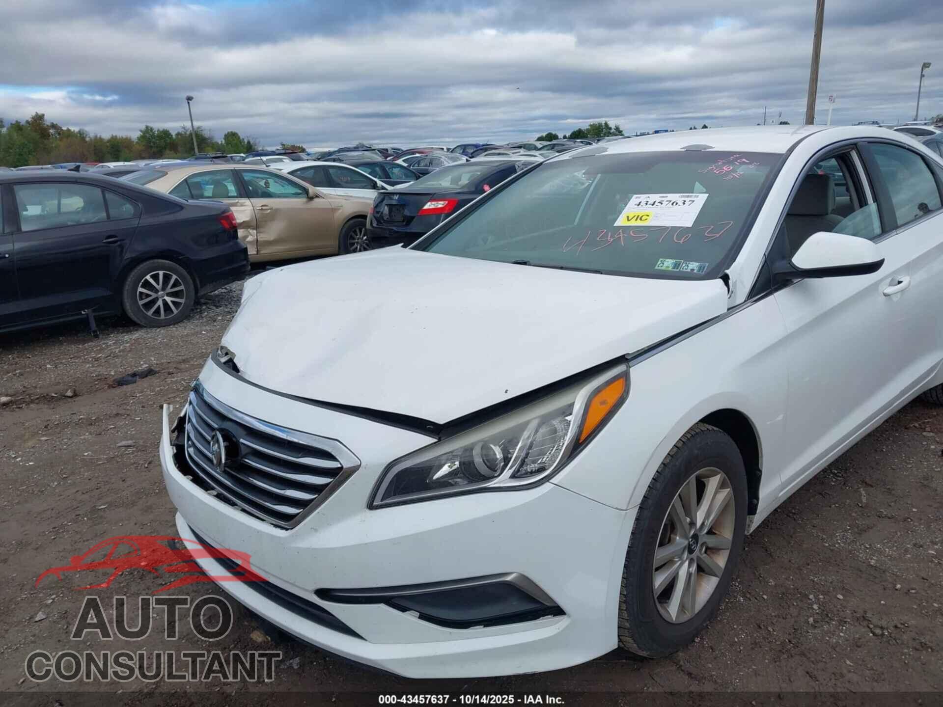 HYUNDAI SONATA 2016 - 5NPE24AF7GH283682