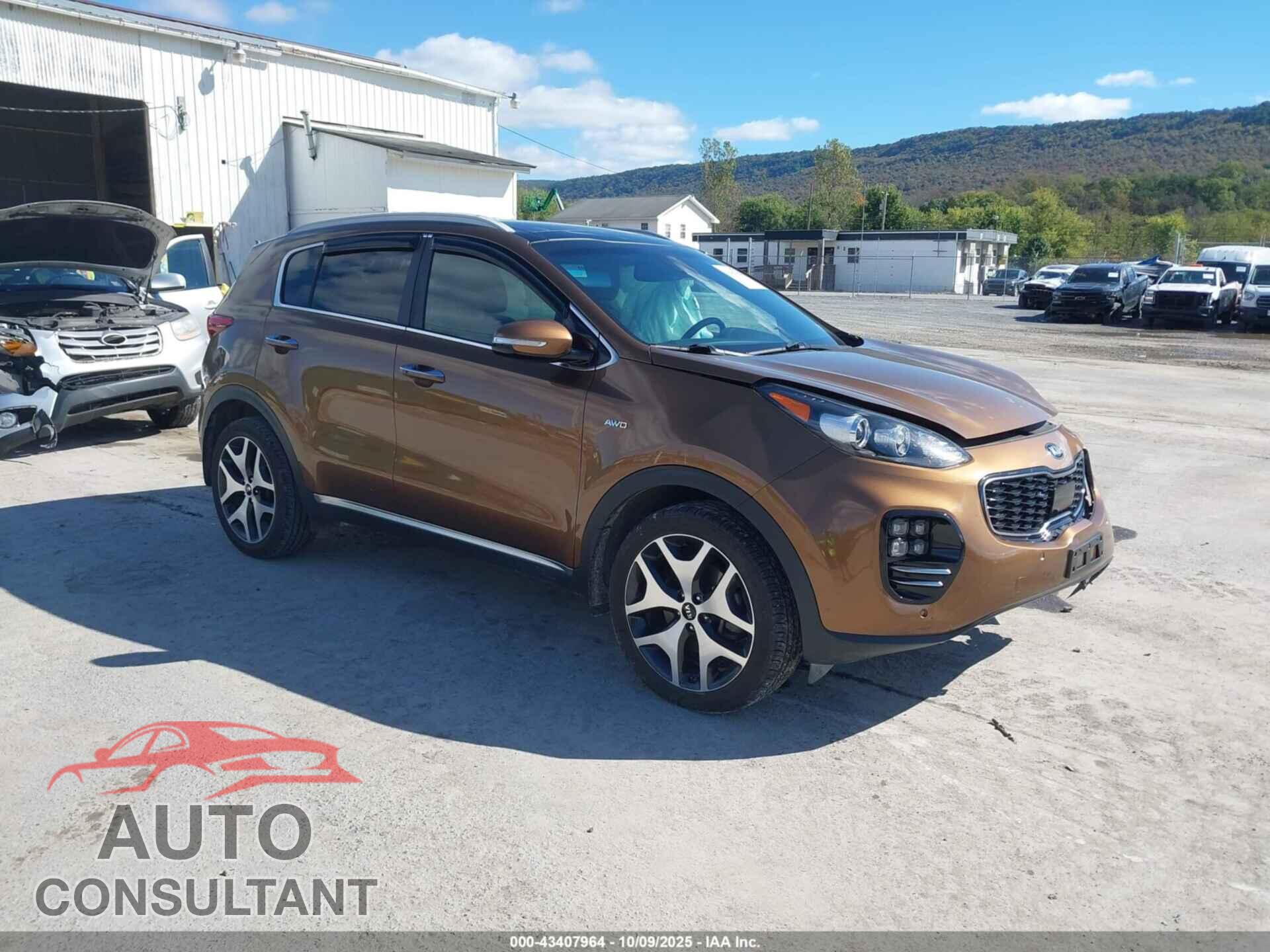 KIA SPORTAGE 2017 - KNDPRCA62H7174034