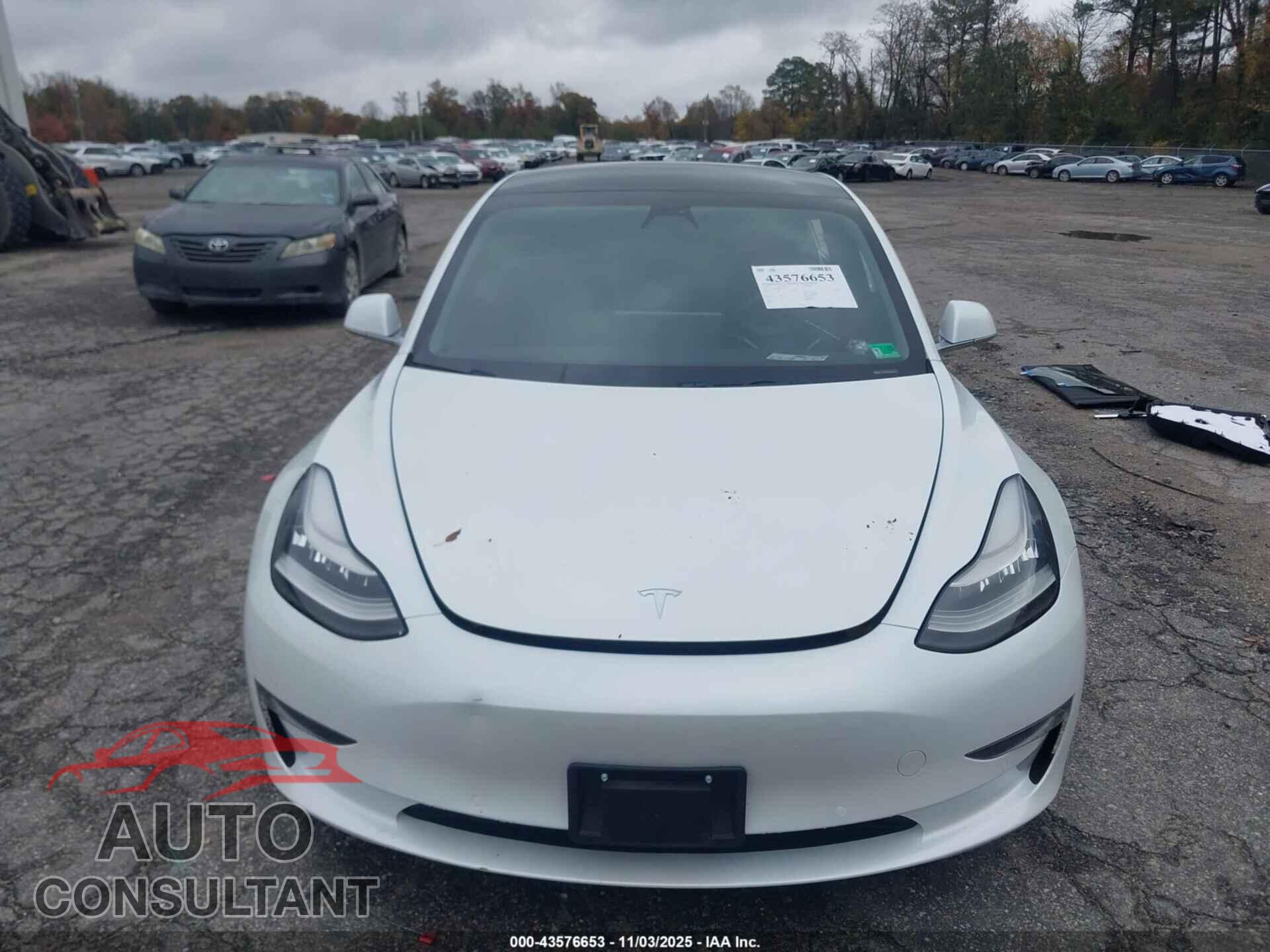 TESLA MODEL 3 2019 - 5YJ3E1EB9KF493972
