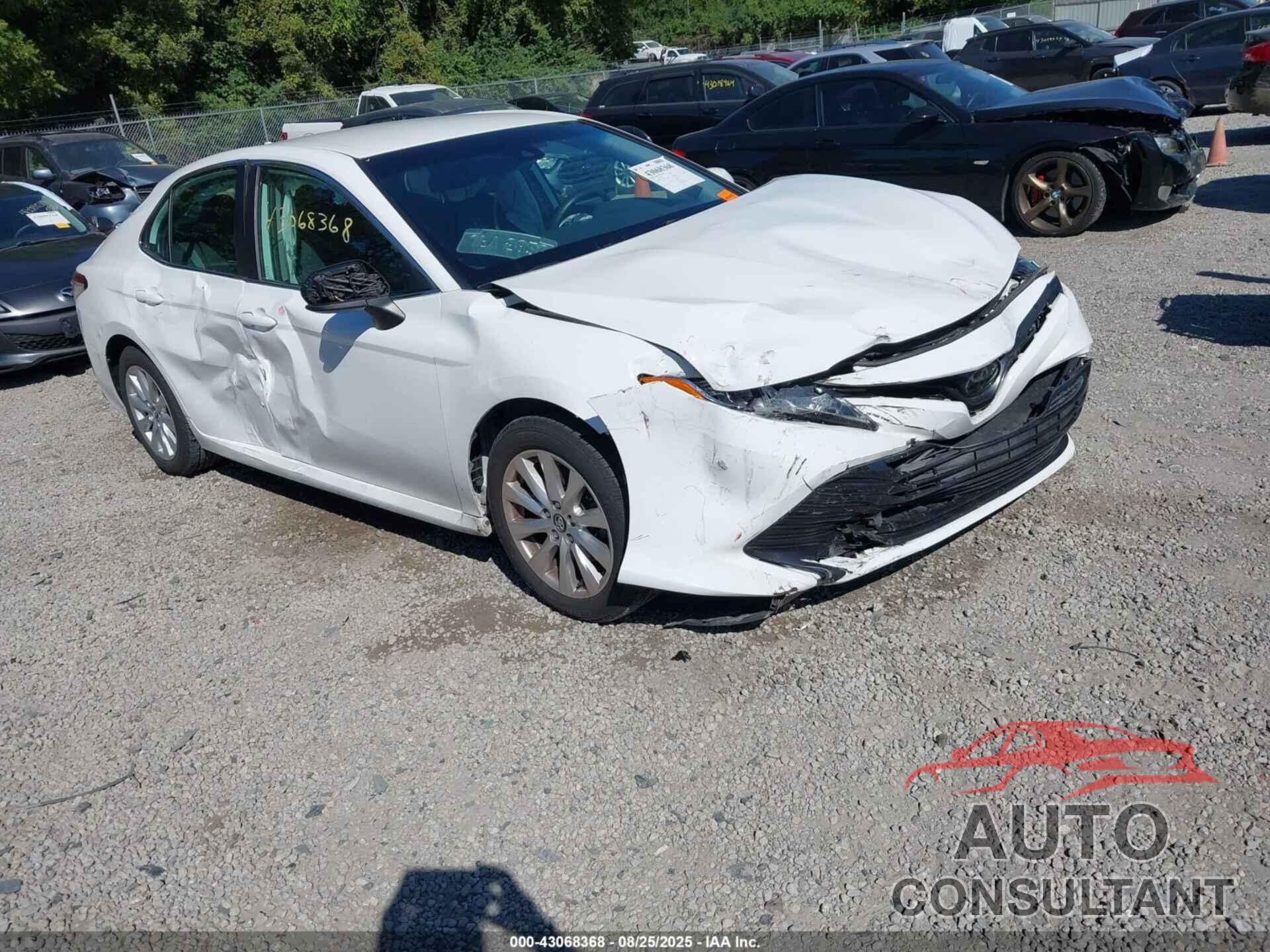 TOYOTA CAMRY 2019 - 4T1B11HK5KU263822