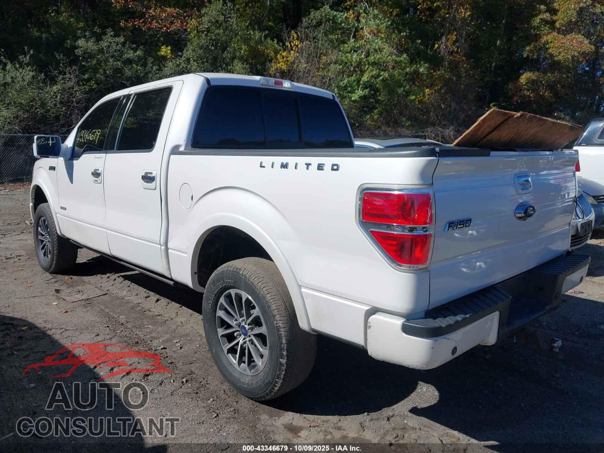 FORD F-150 2013 - 1FTFW1ETXDFD73356