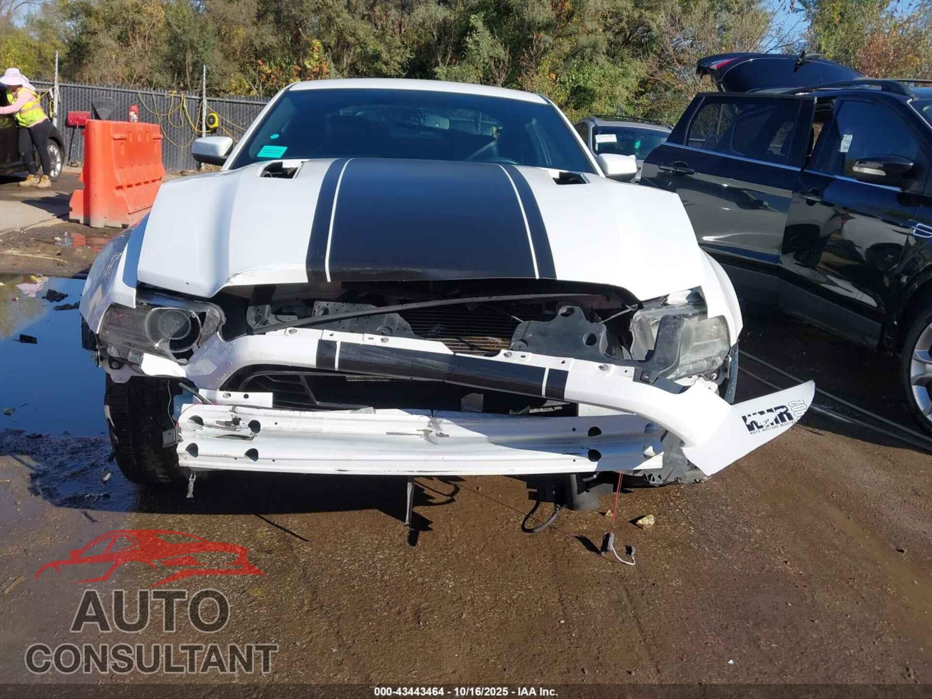 FORD MUSTANG 2014 - 1ZVBP8CF9E5315633