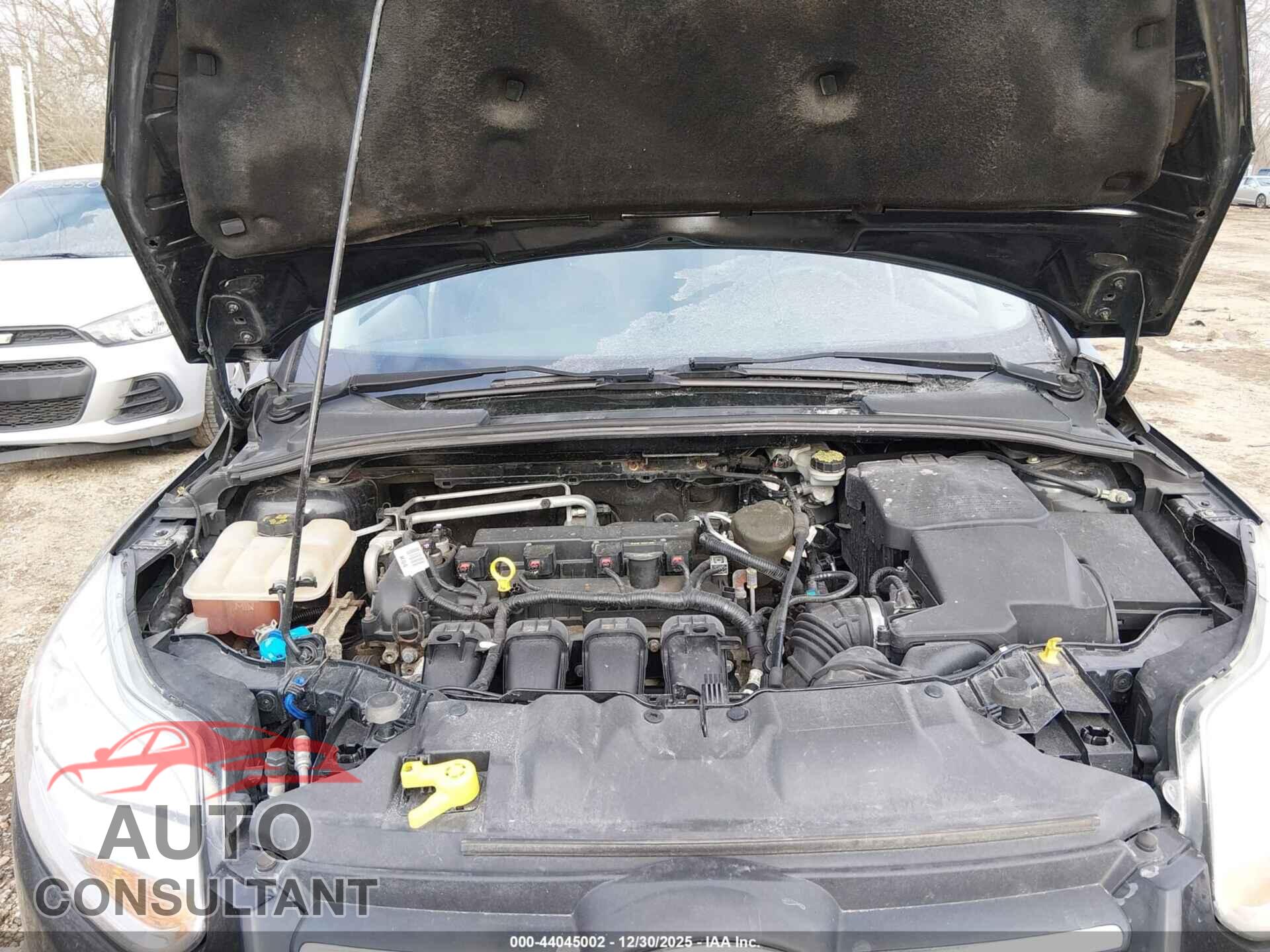 FORD FOCUS 2014 - 1FADP3F23EL345221