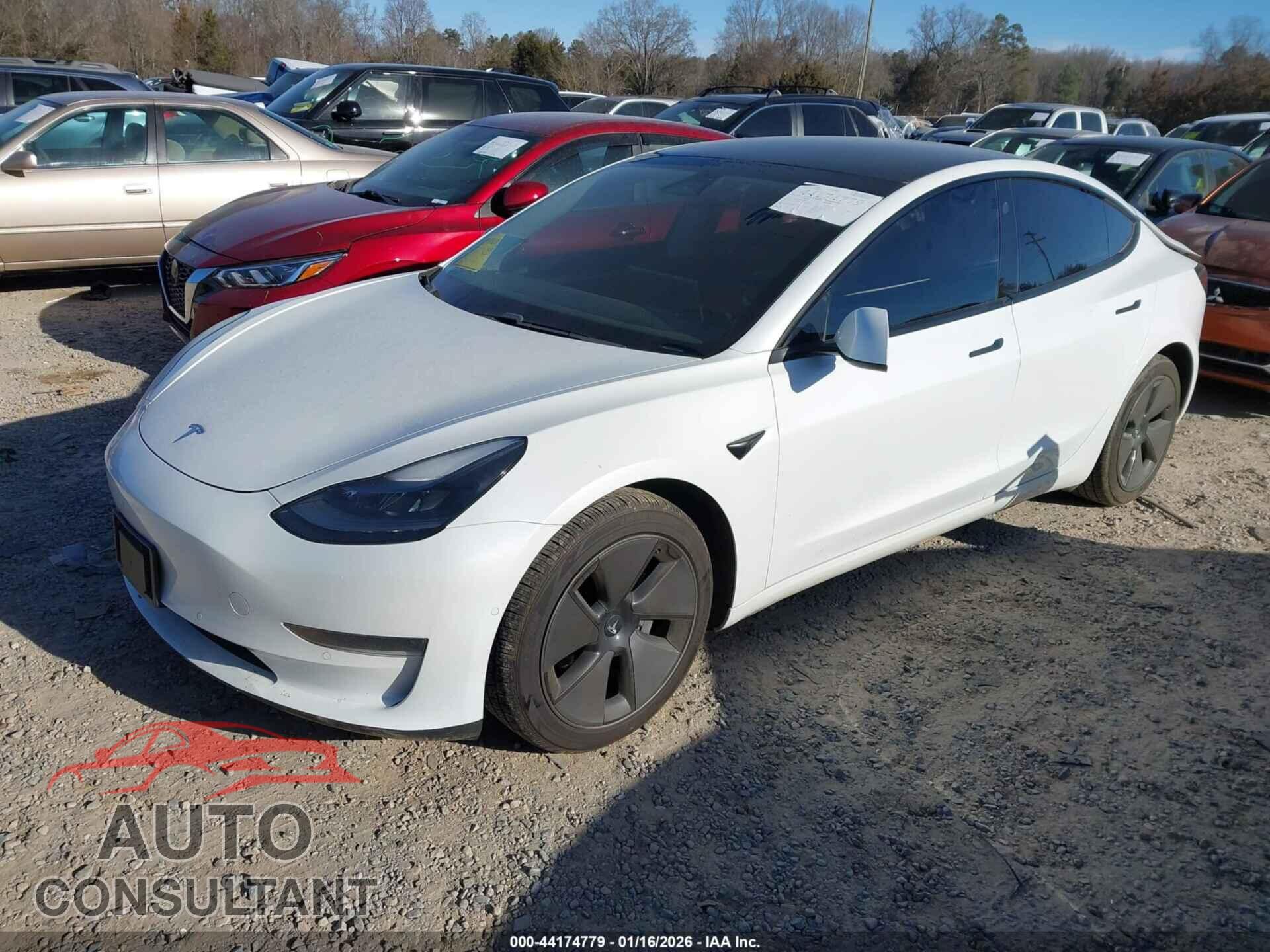 TESLA MODEL 3 2021 - 5YJ3E1EA4MF989031