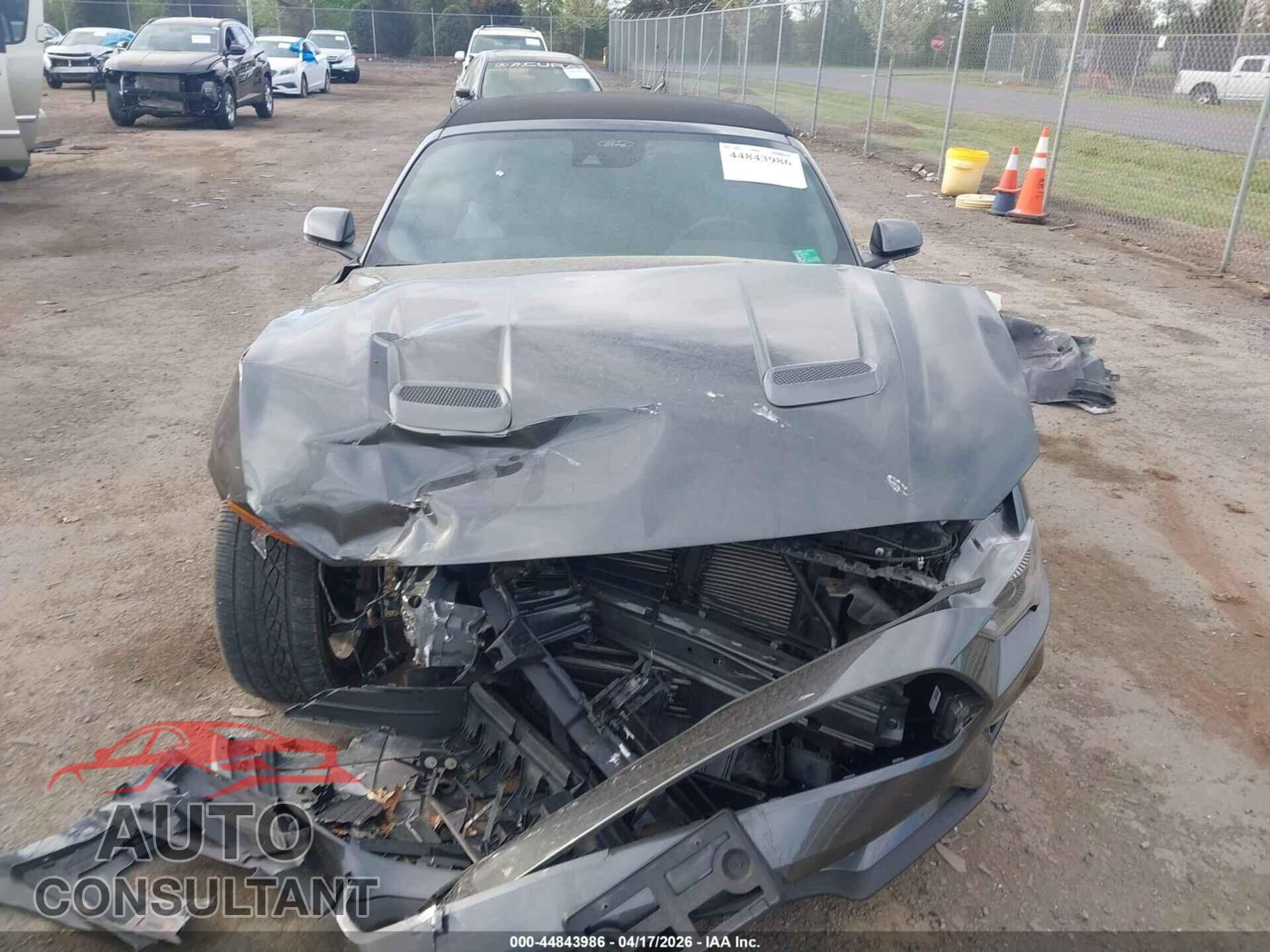 FORD MUSTANG 2019 - 1FATP8UH6K5195802
