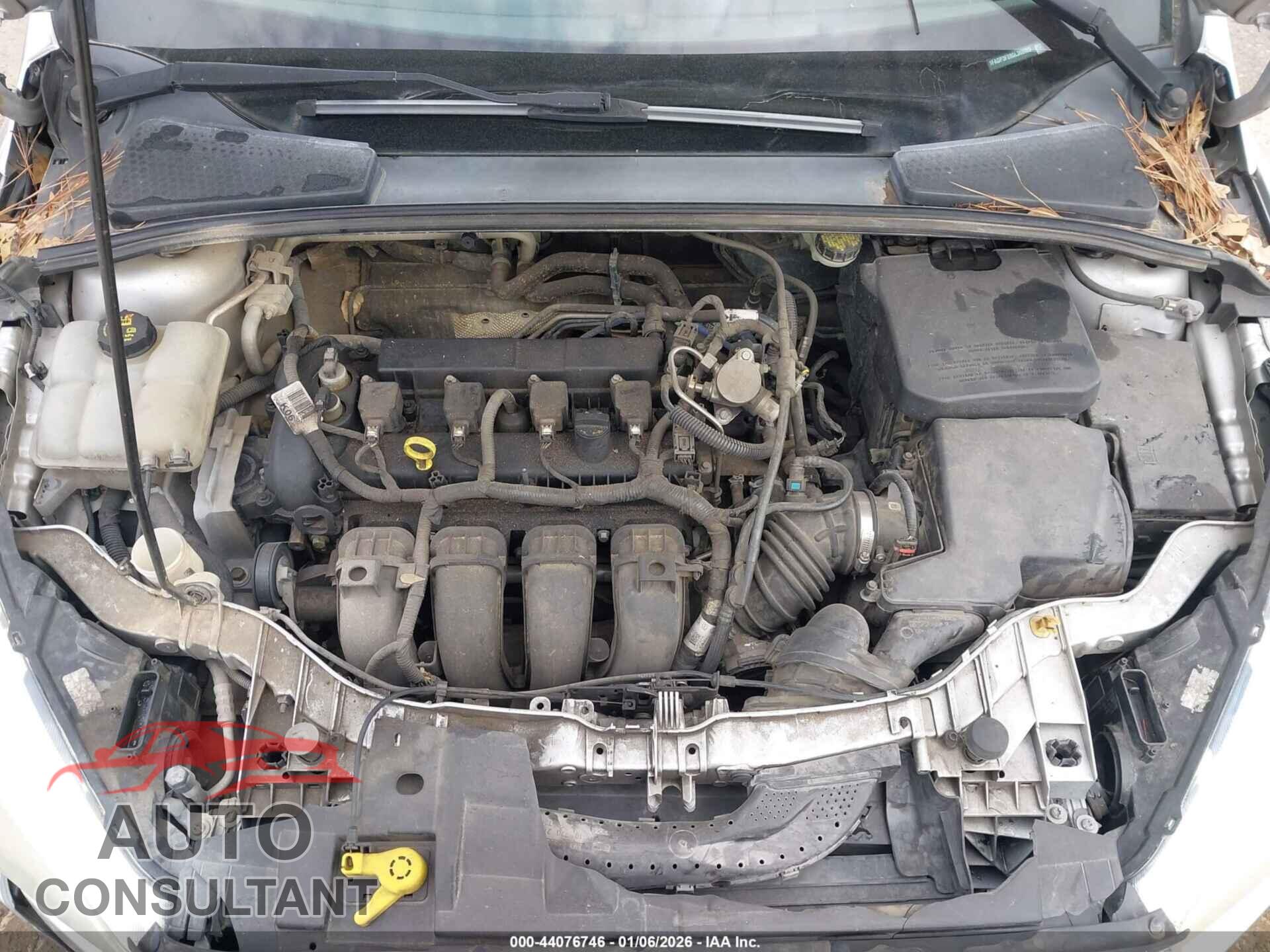 FORD FOCUS 2016 - 1FADP3F28GL368965