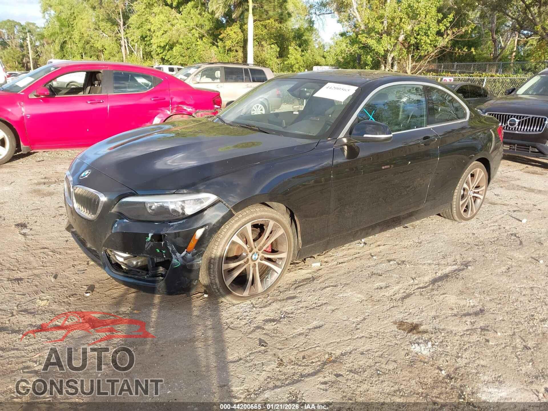 BMW 228I 2015 - WBA1F7C59FV367281